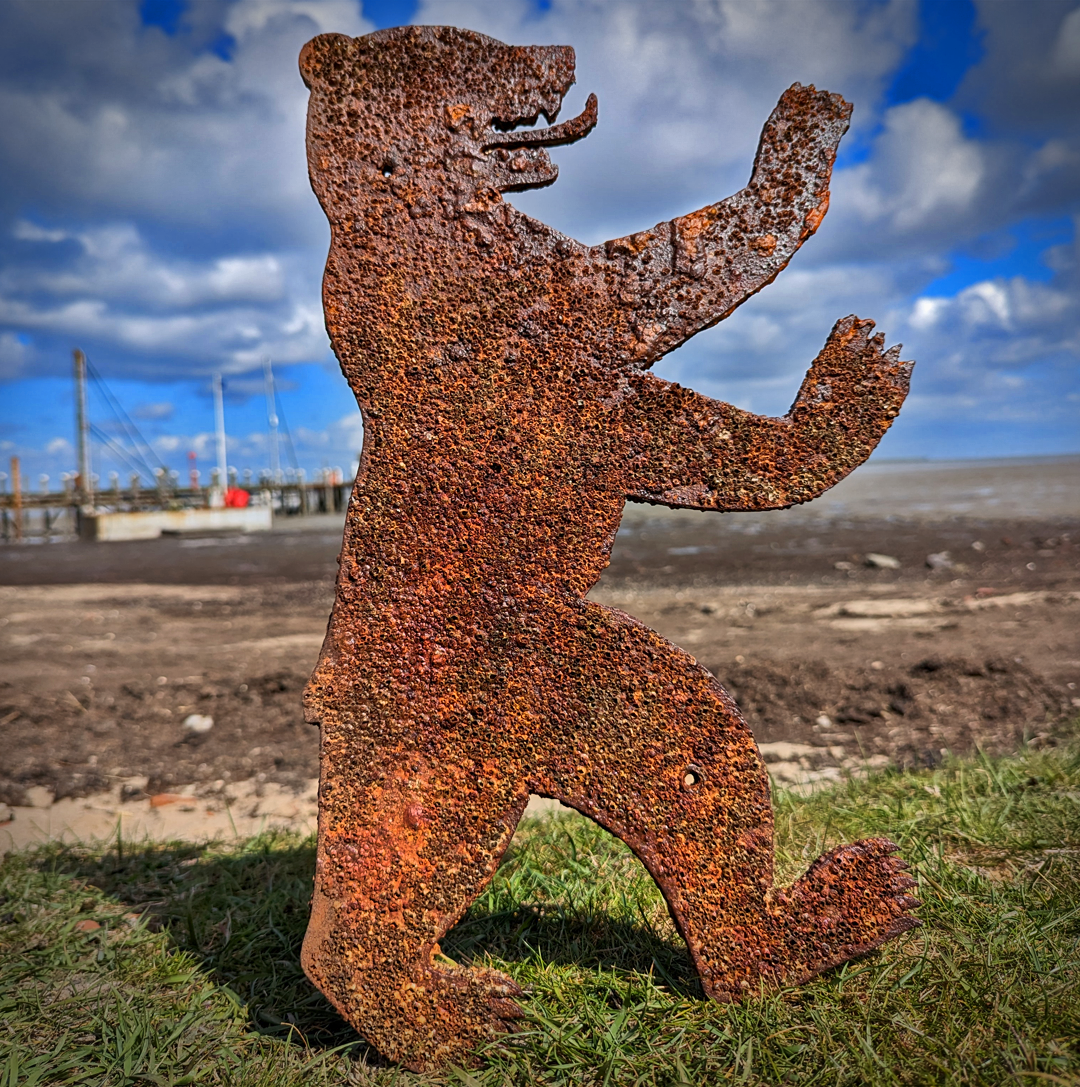 Berliner Seebär · mit Seepocken bewachsen
