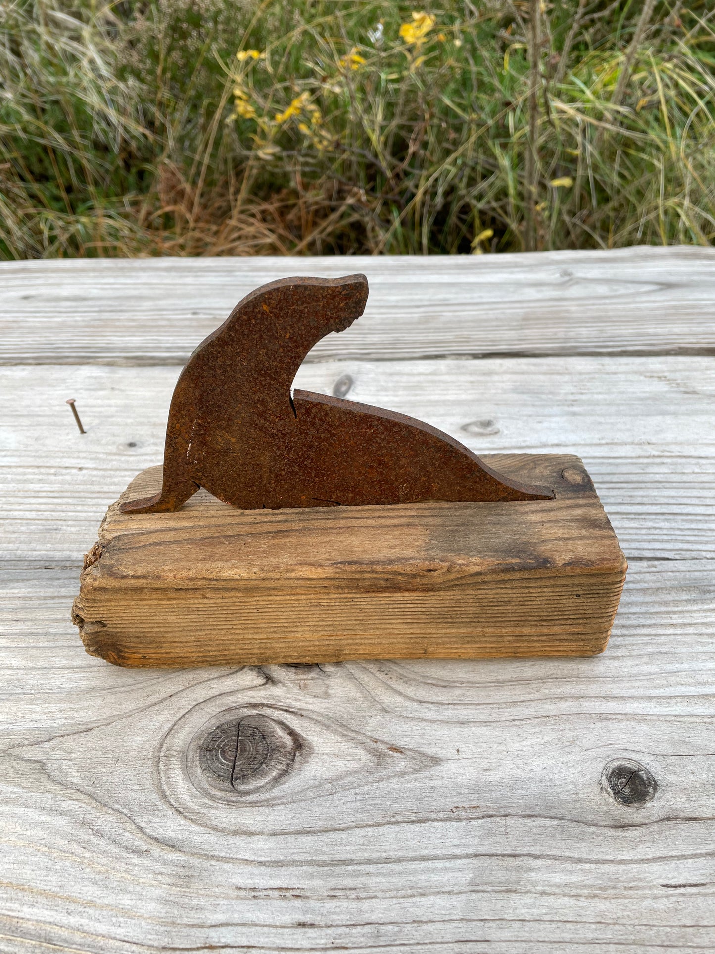 Driftwood Skulpturen "Robbe"