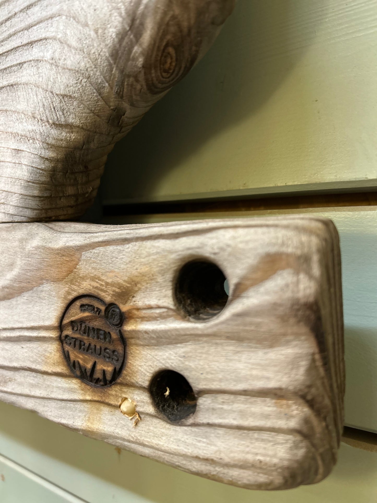 Driftwood-Welle Lampe