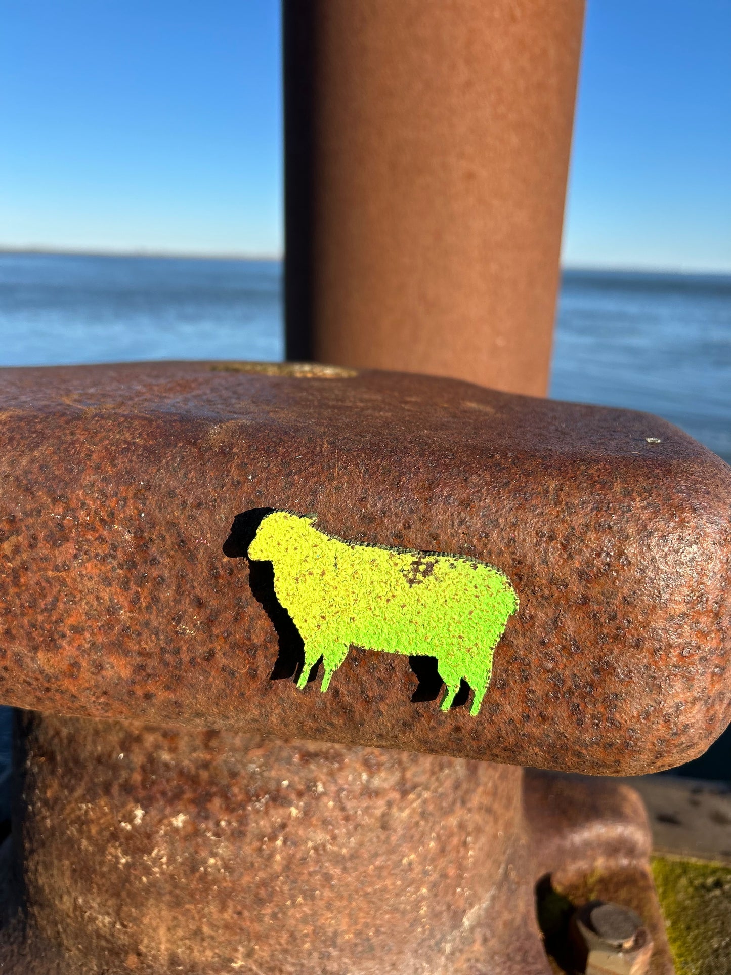 Magnet - Schaf "Wolle"