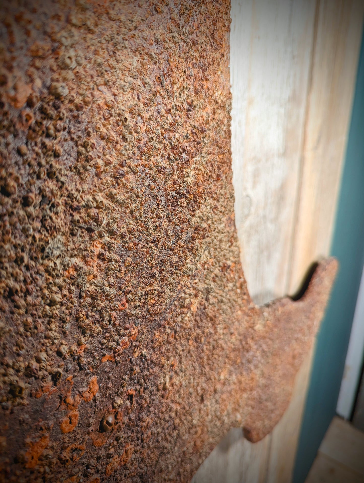 Driftwood-Sylt Lampe • Nur Abholung