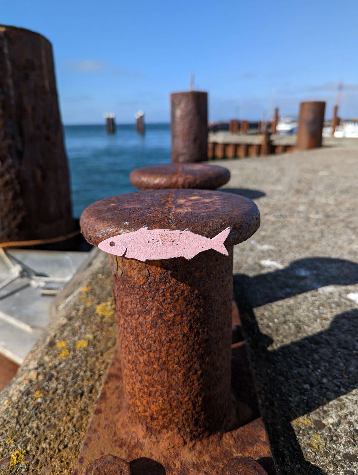 Magnet - Makrelen Fisch