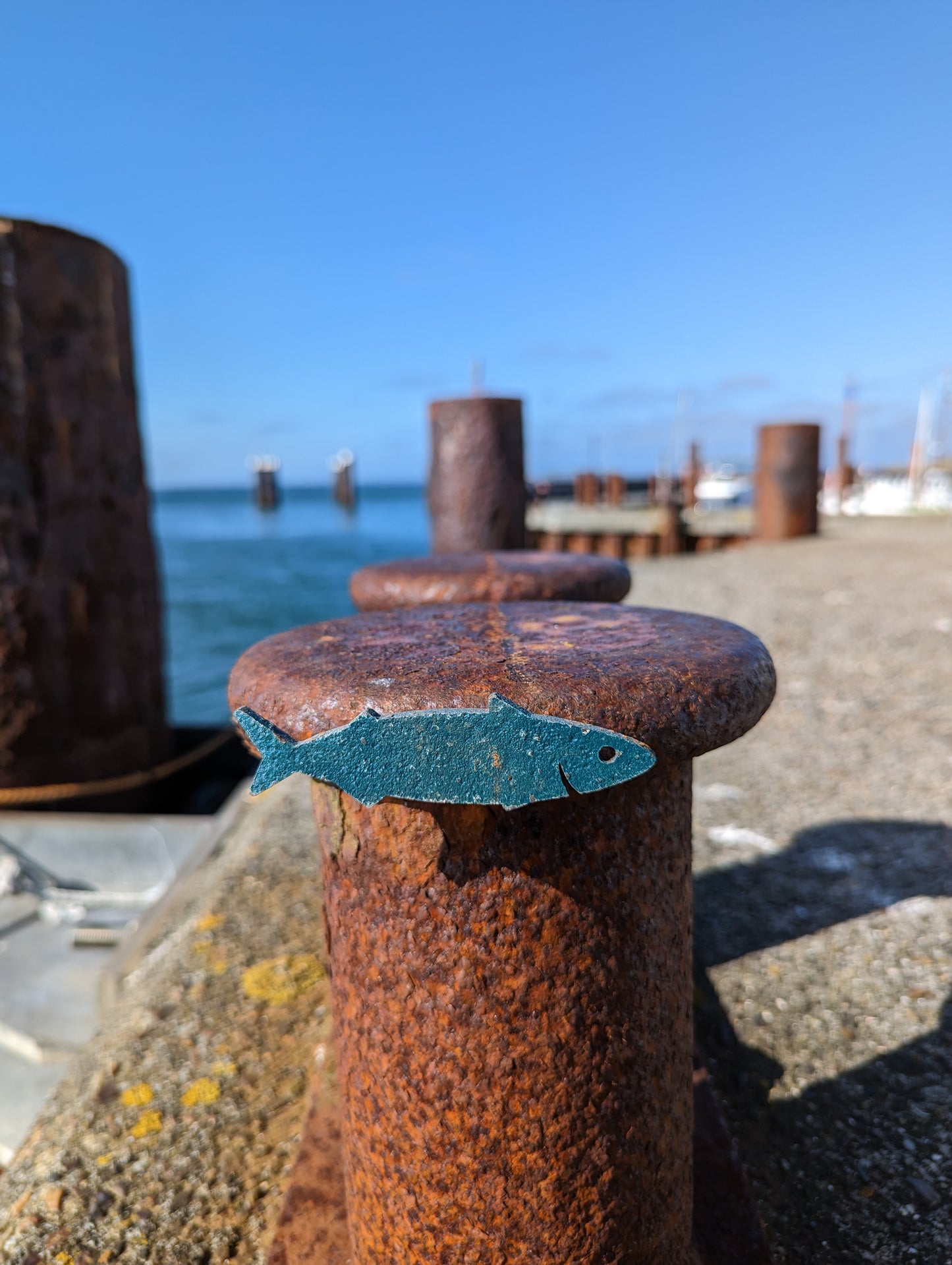 Magnet - Makrelen Fisch
