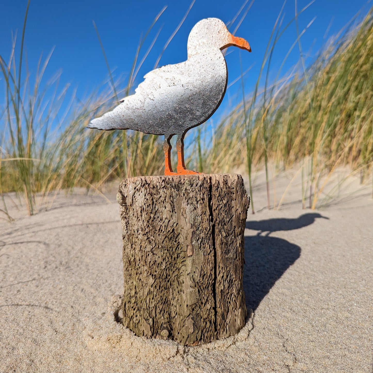 Driftwood Skulpturen  "Möwe Kalle"