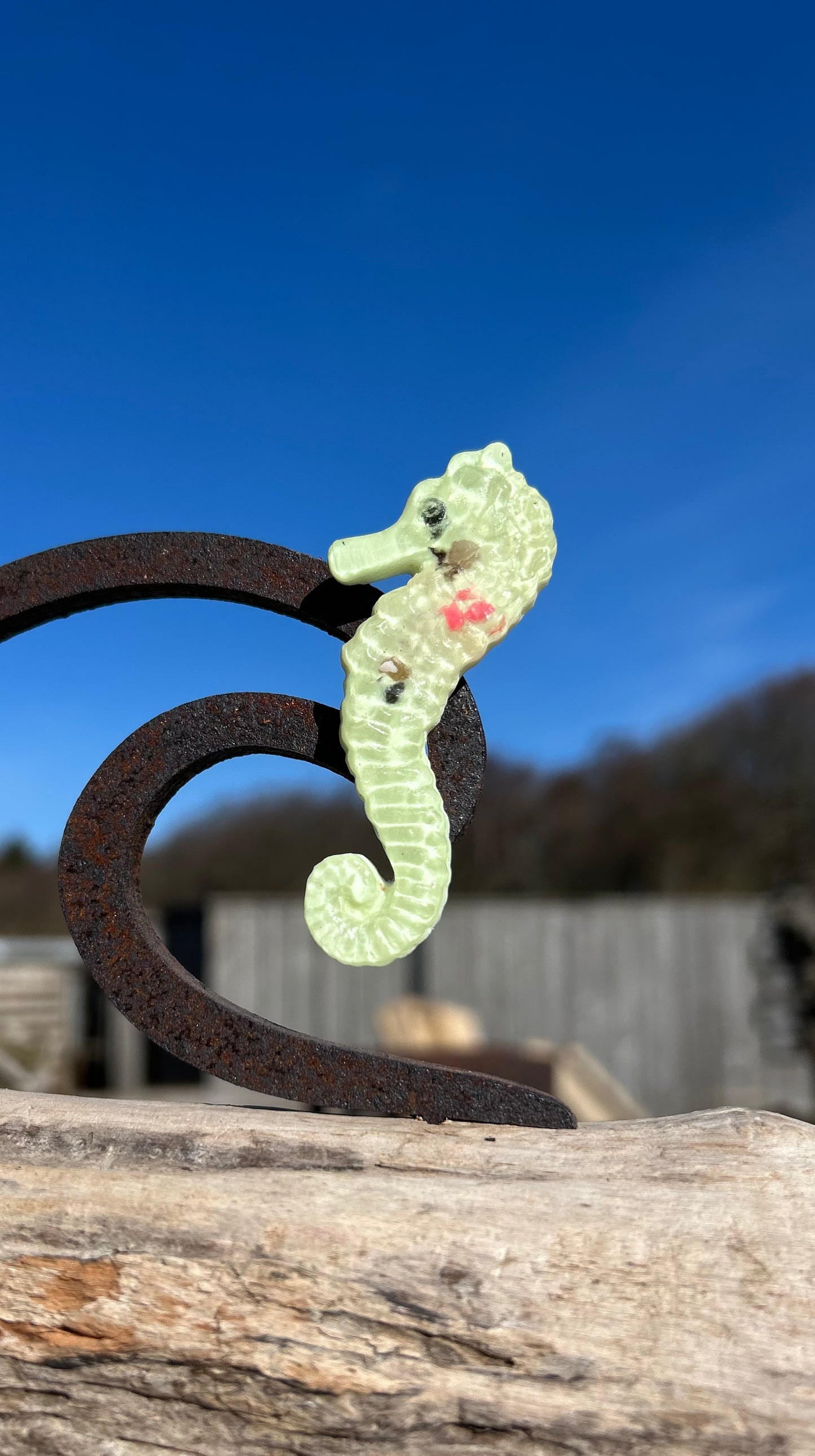 Magnet Seepferdchen 🪸Handgegossen & mit Botschaft