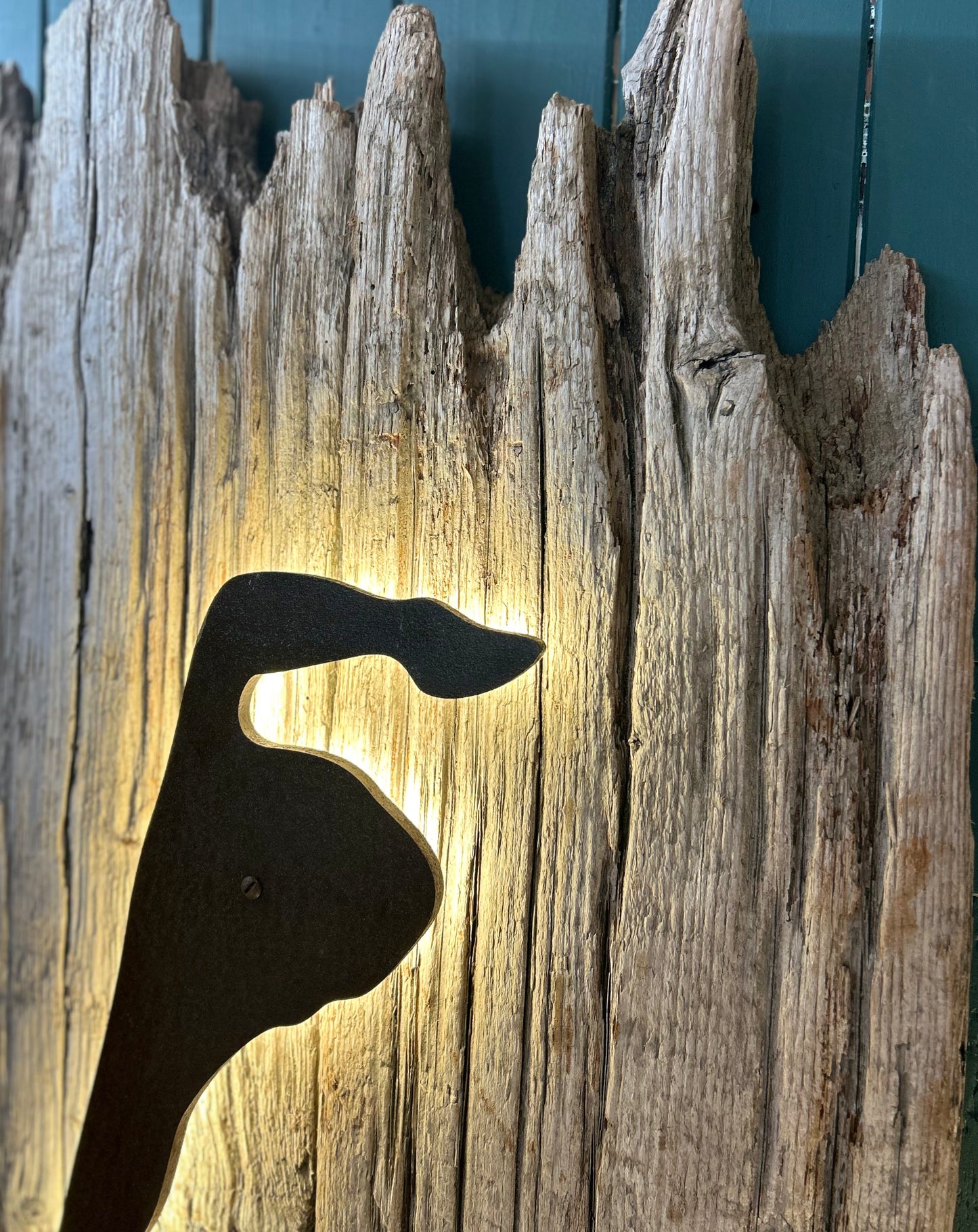 Driftwood-Sylt Lampe • NUR ABHOLUNG !