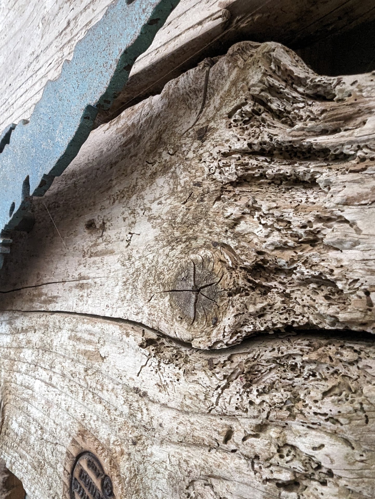 Driftwood-Welle Lampe