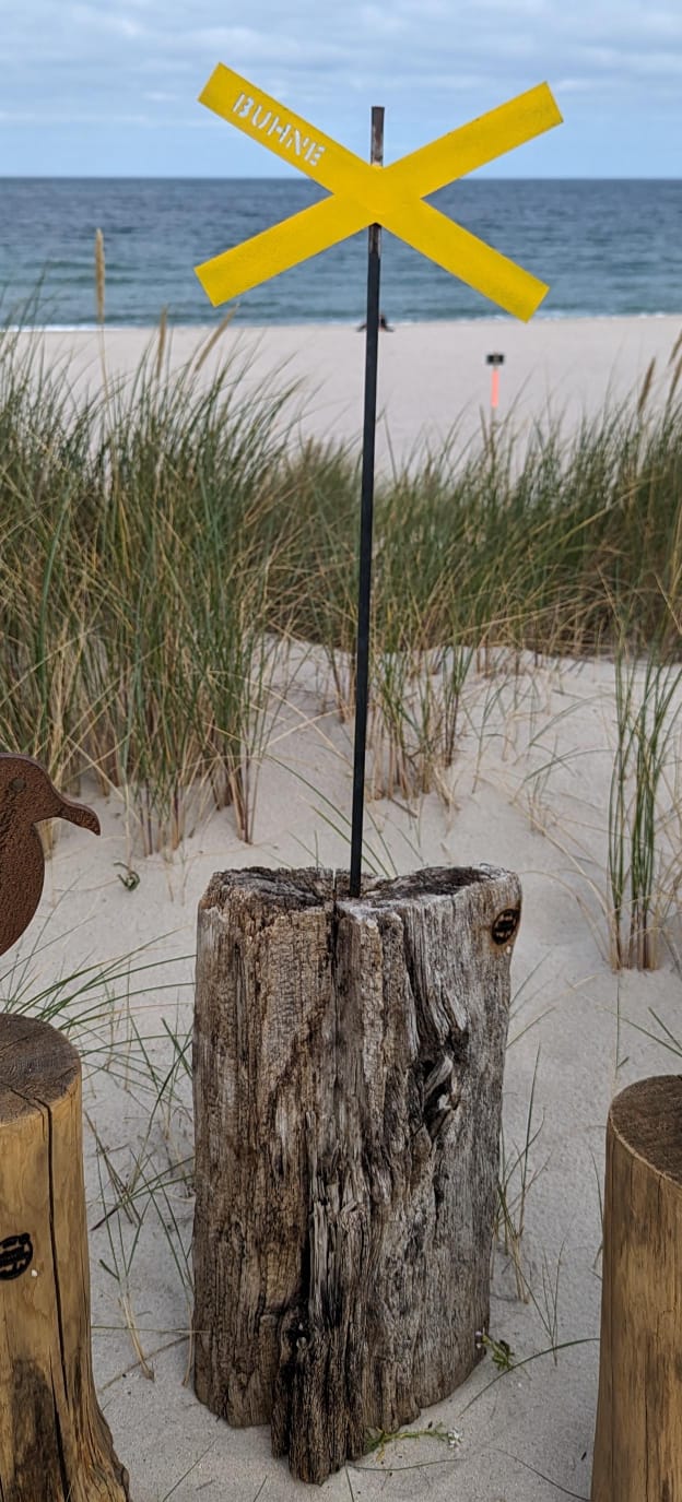Große Driftwood-Skulpturen