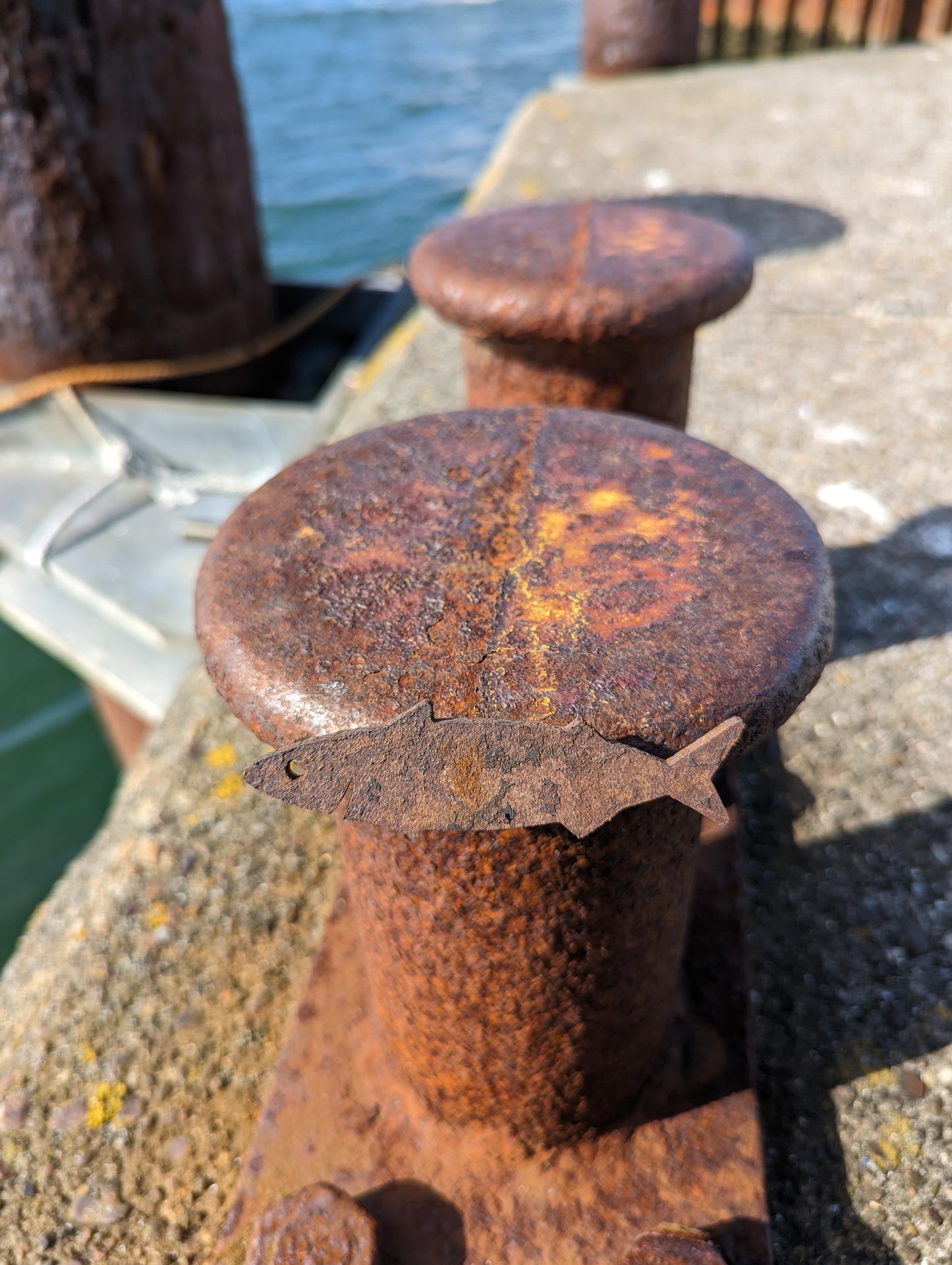 Magnet - Makrelen Fisch