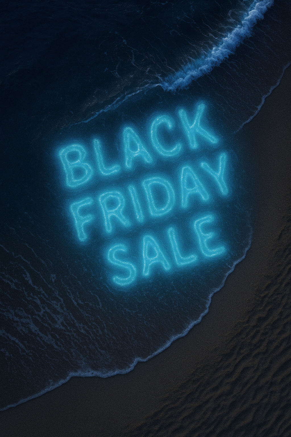 Black Friday Sale