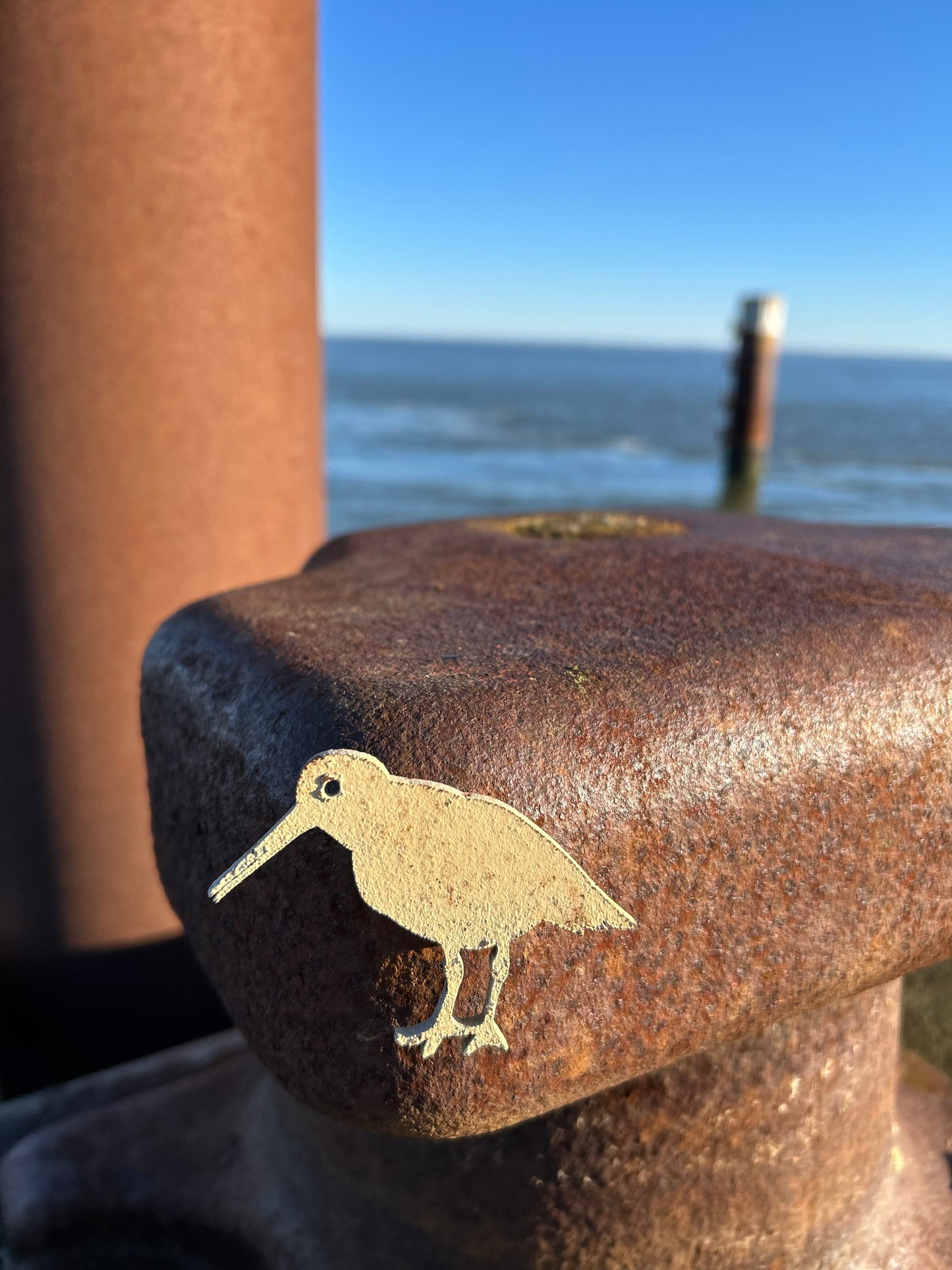 Magnet - Austernfischer