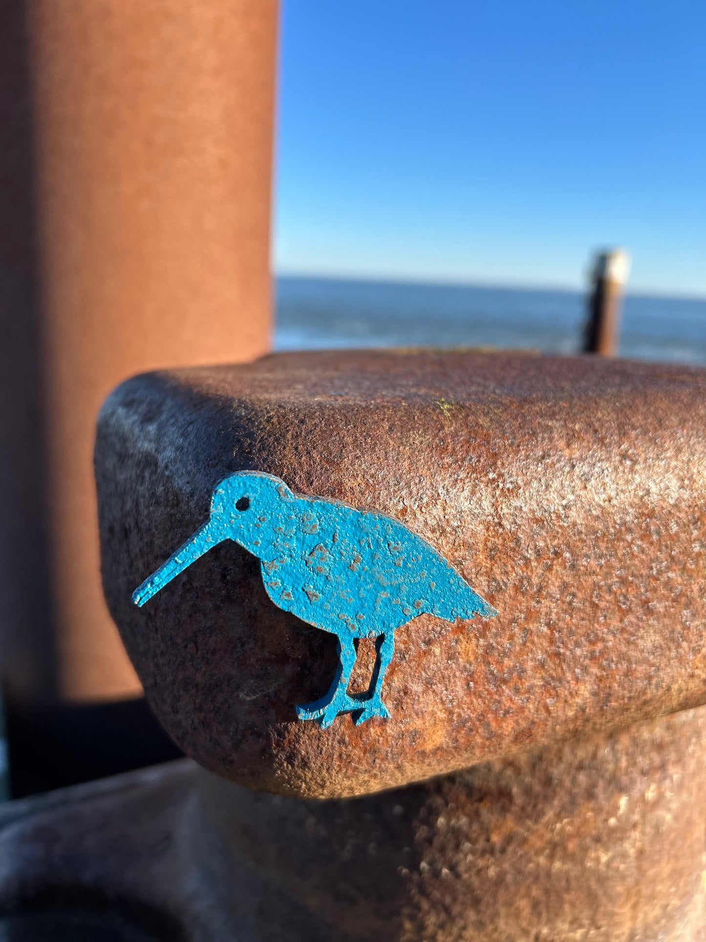 Magnet - Austernfischer