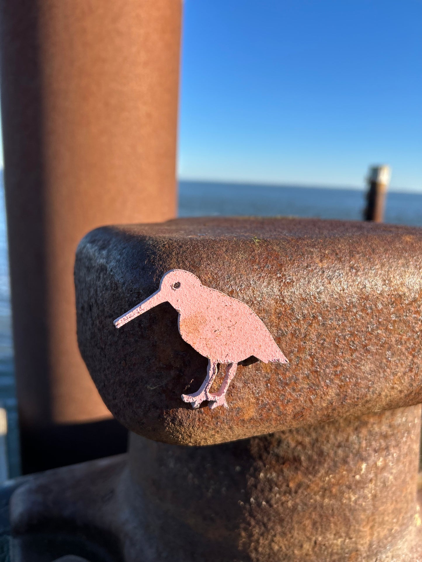 Magnet - Austernfischer