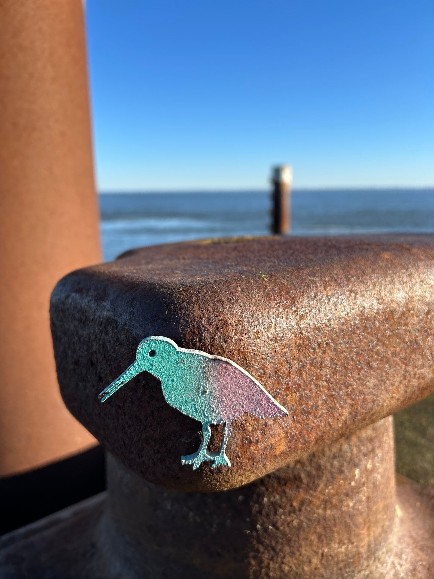 Magnet - Austernfischer