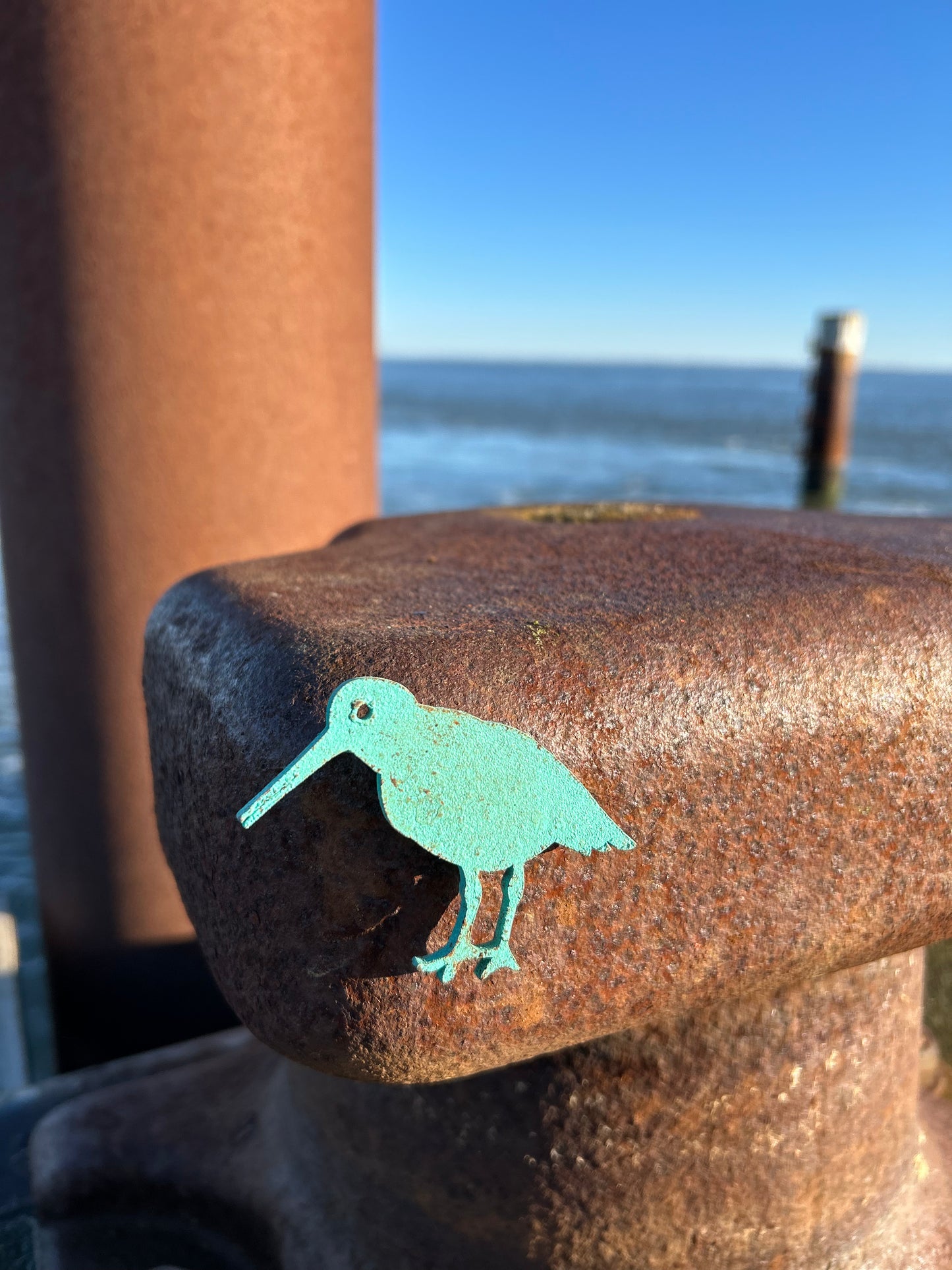 Magnet - Austernfischer