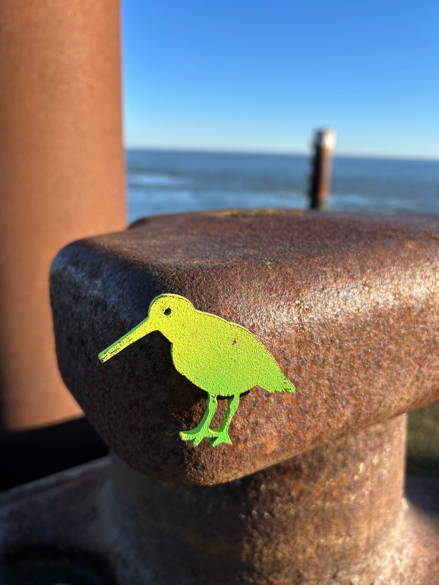 Magnet - Austernfischer