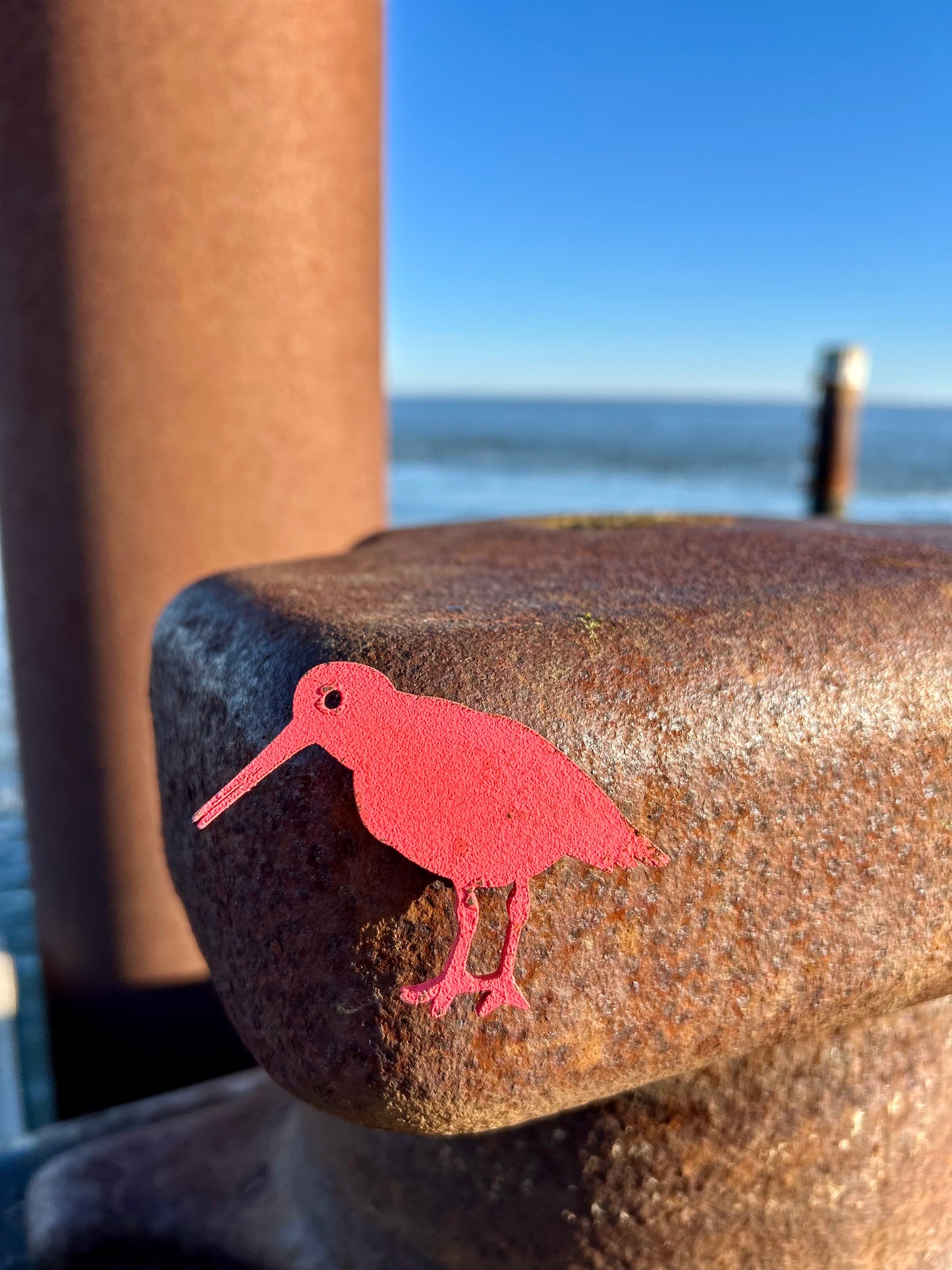 Magnet - Austernfischer