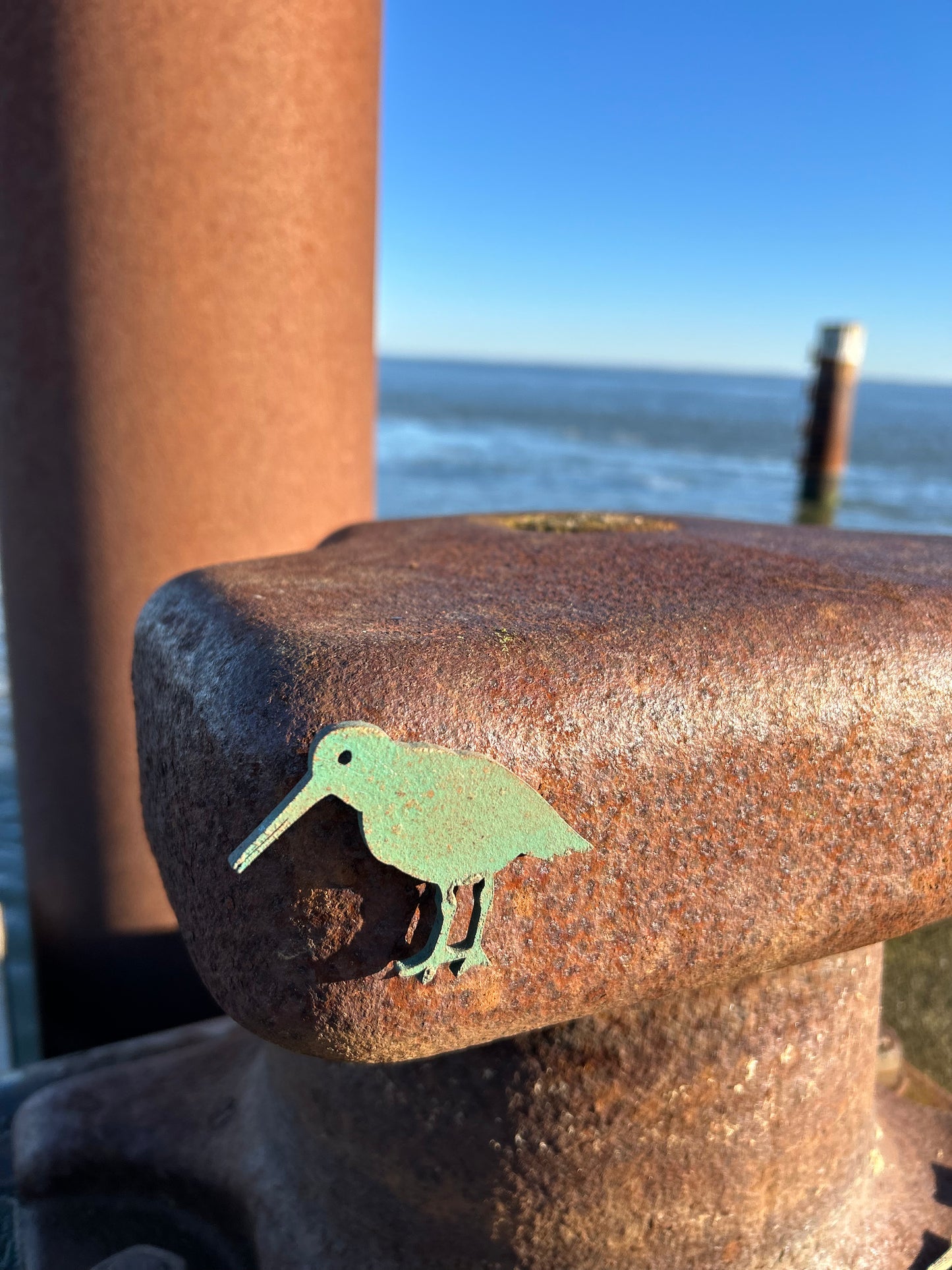 Magnet - Austernfischer