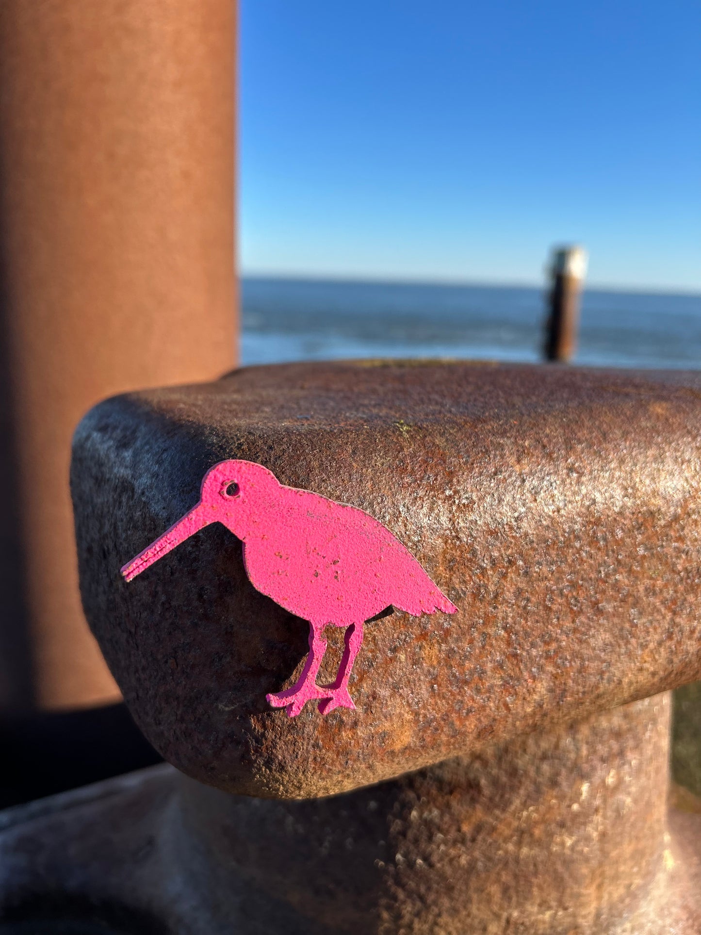 Magnet - Austernfischer