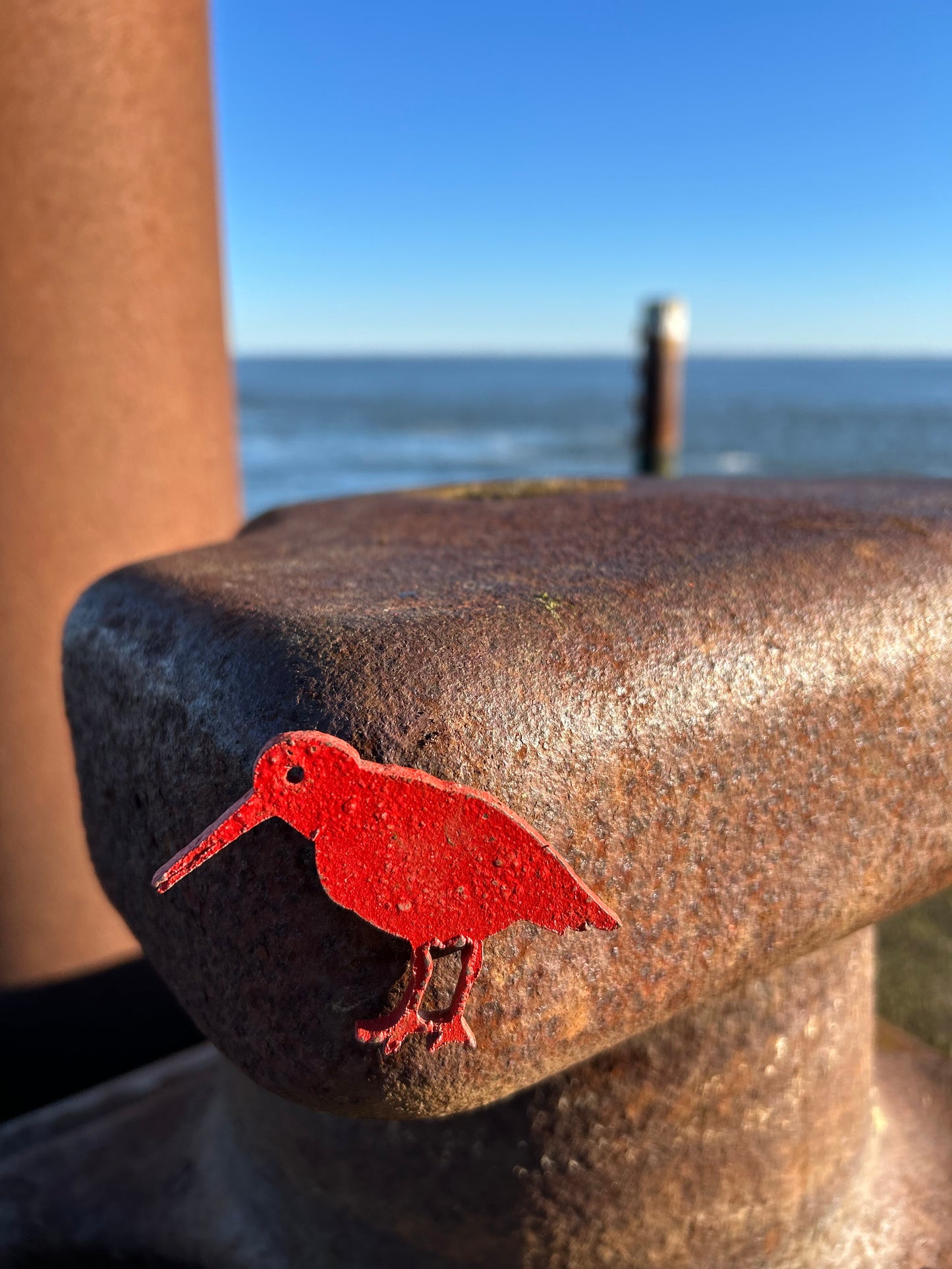 Magnet - Austernfischer