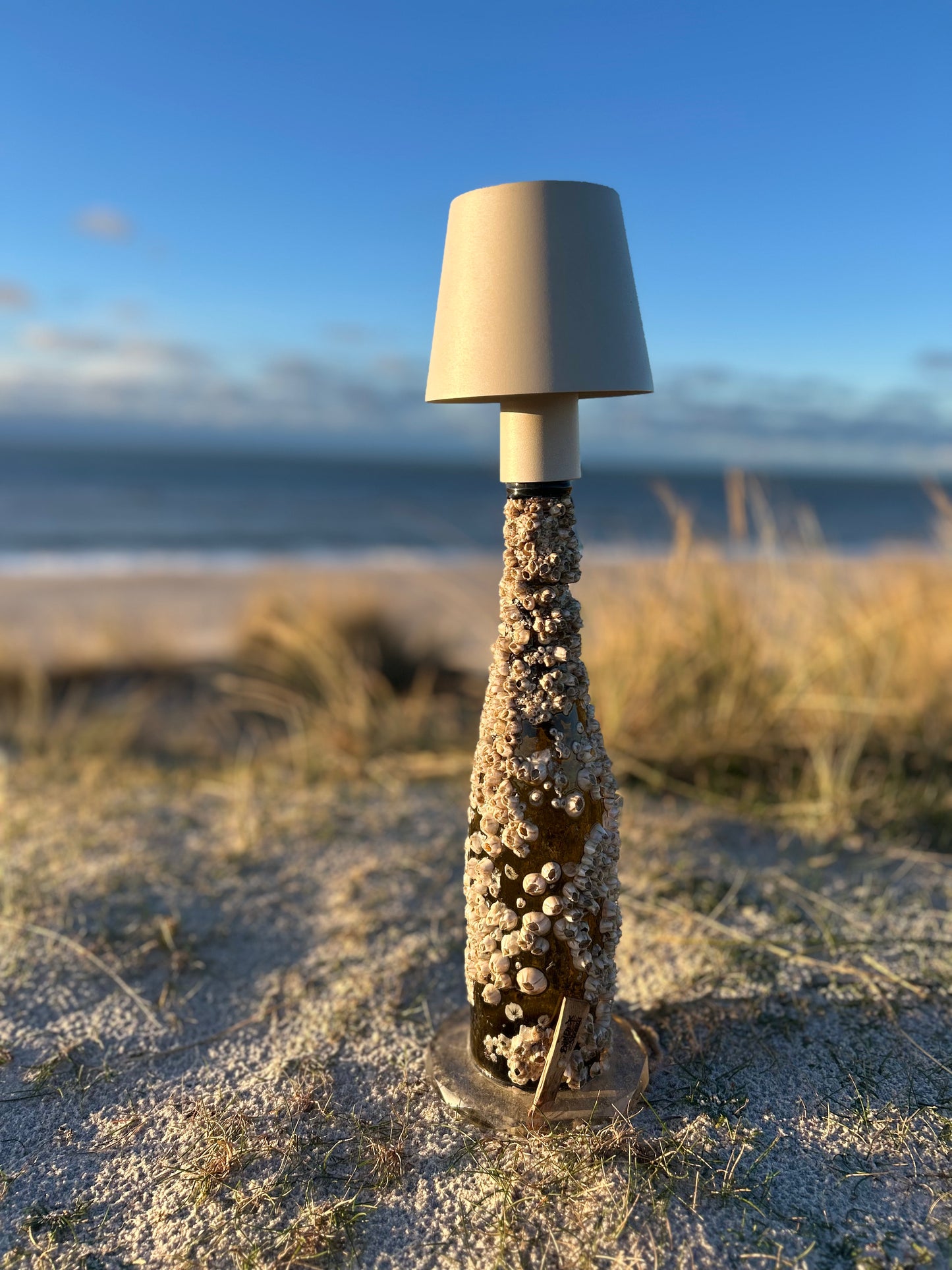 🌊 Barnacles Ocean Lamp – eine Weinflasche vom Meeresgrund, neu geboren als maritimes Kunstwerk