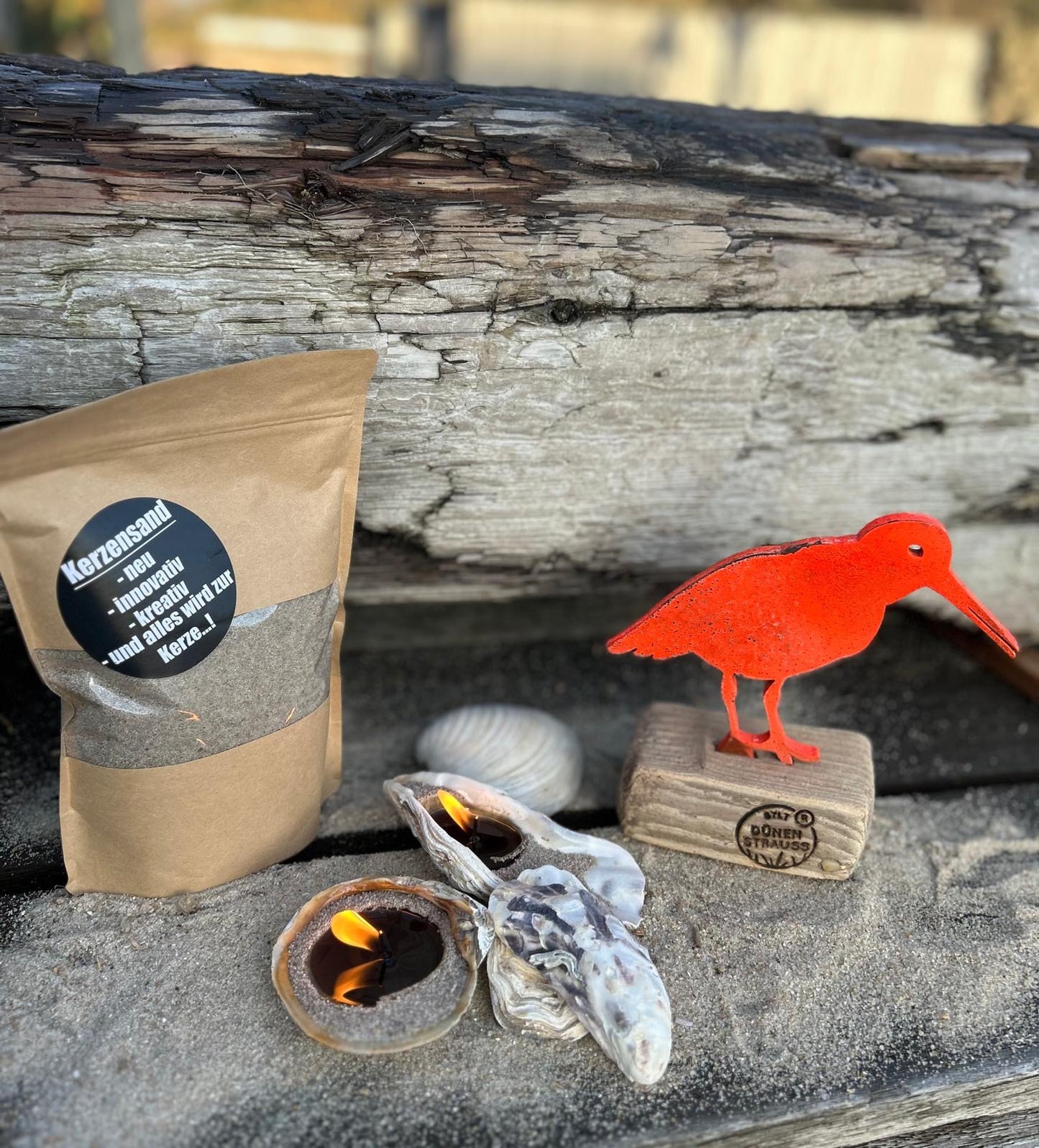 Driftwood Skulptur „Austerfischer Petrol“ – maritimes Unikat mit Sylter Seele