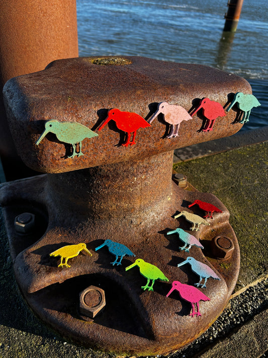 Magnet - Austernfischer