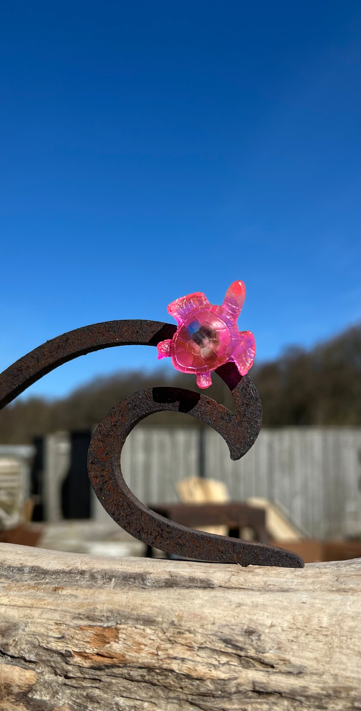 Magnet Schildkröte 🐢 handgegossen & mit Botschaft