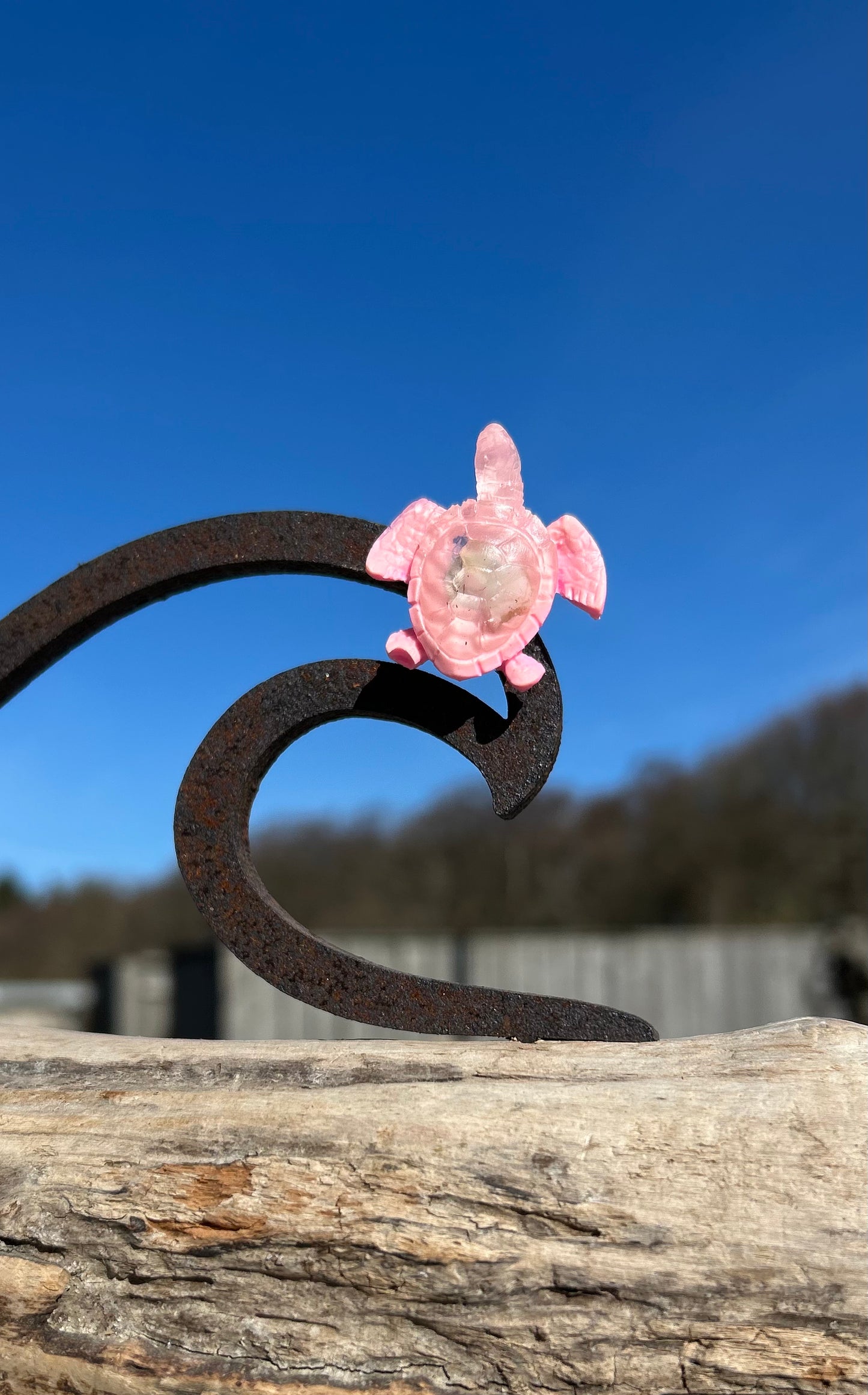 Magnet Schildkröte 🐢 handgegossen & mit Botschaft