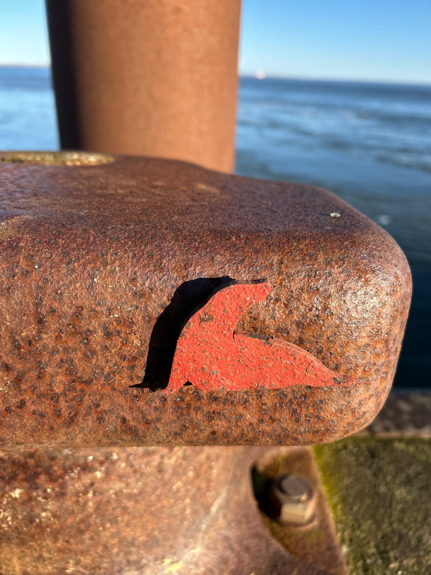 Magnet Robbe