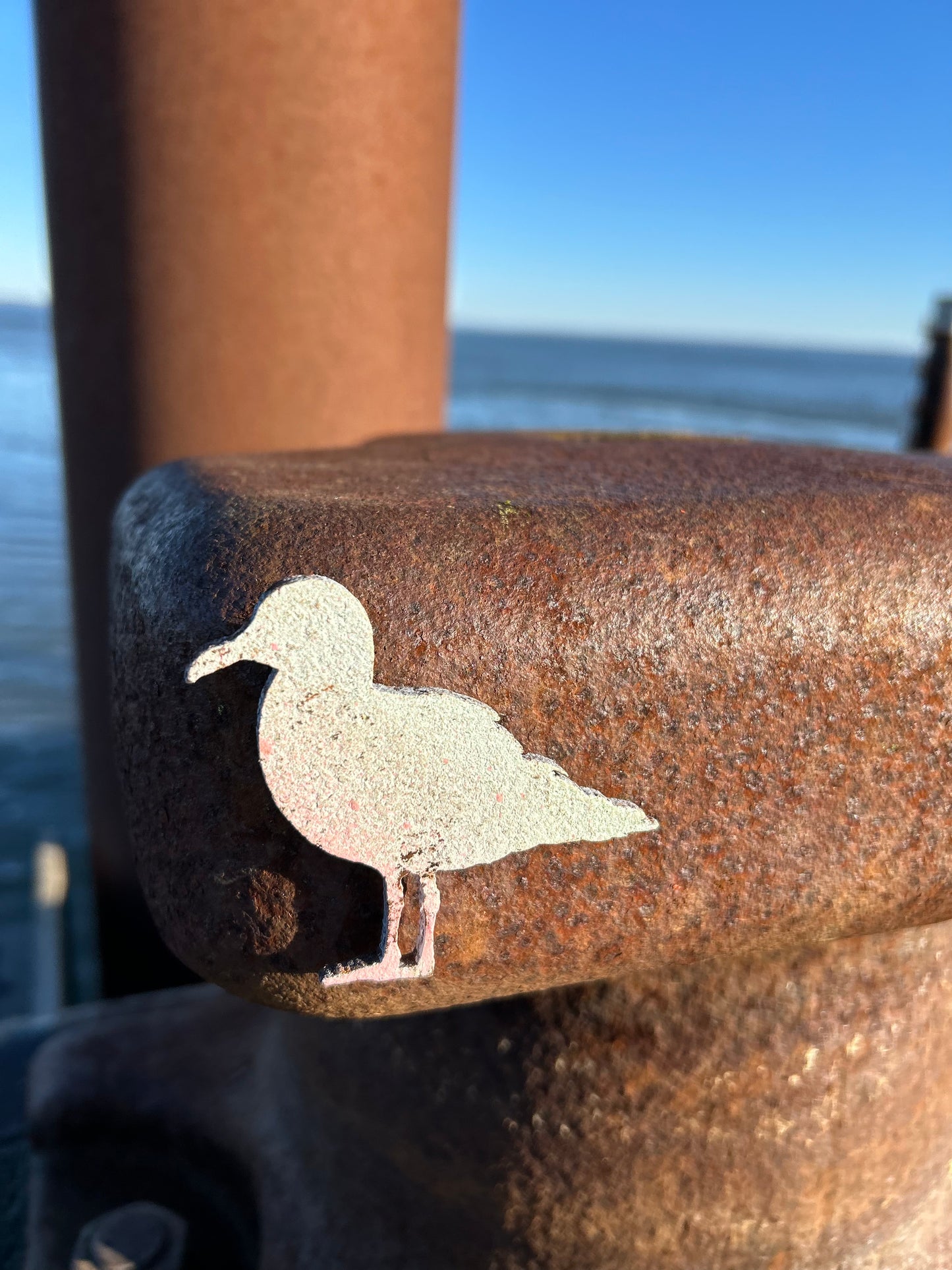 Magnet - Möwe "Kalle"