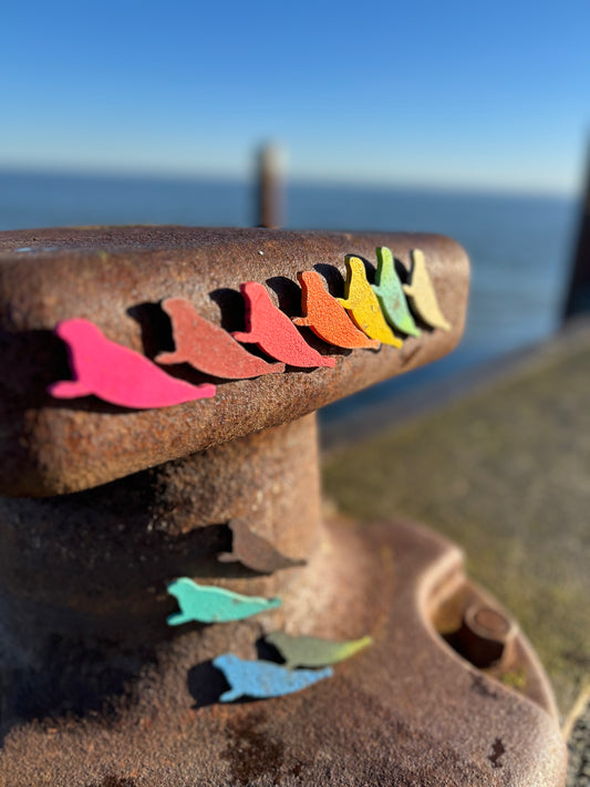 Magnet Seehund🦭 "Robbie"