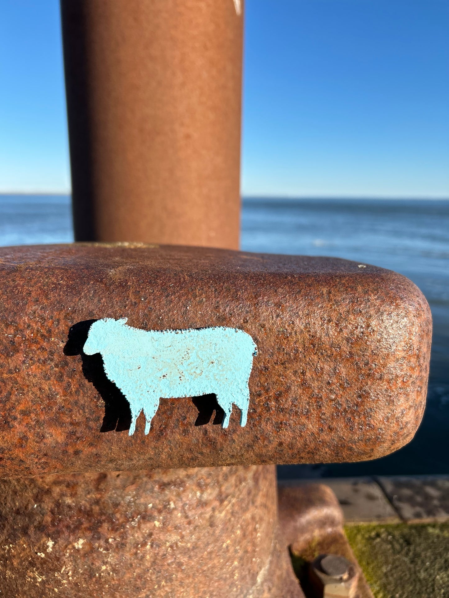 Magnet - Schaf "Wolle"