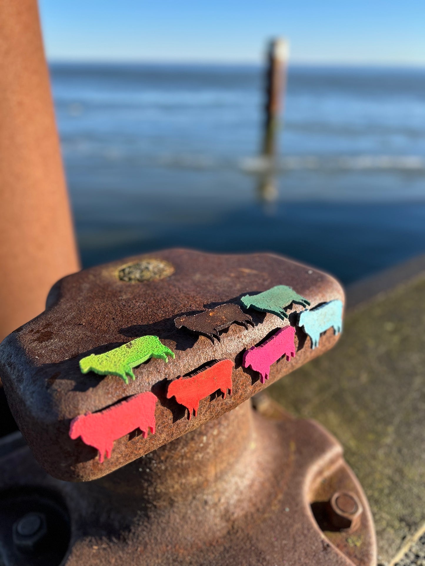 Magnet - Schaf "Wolle"