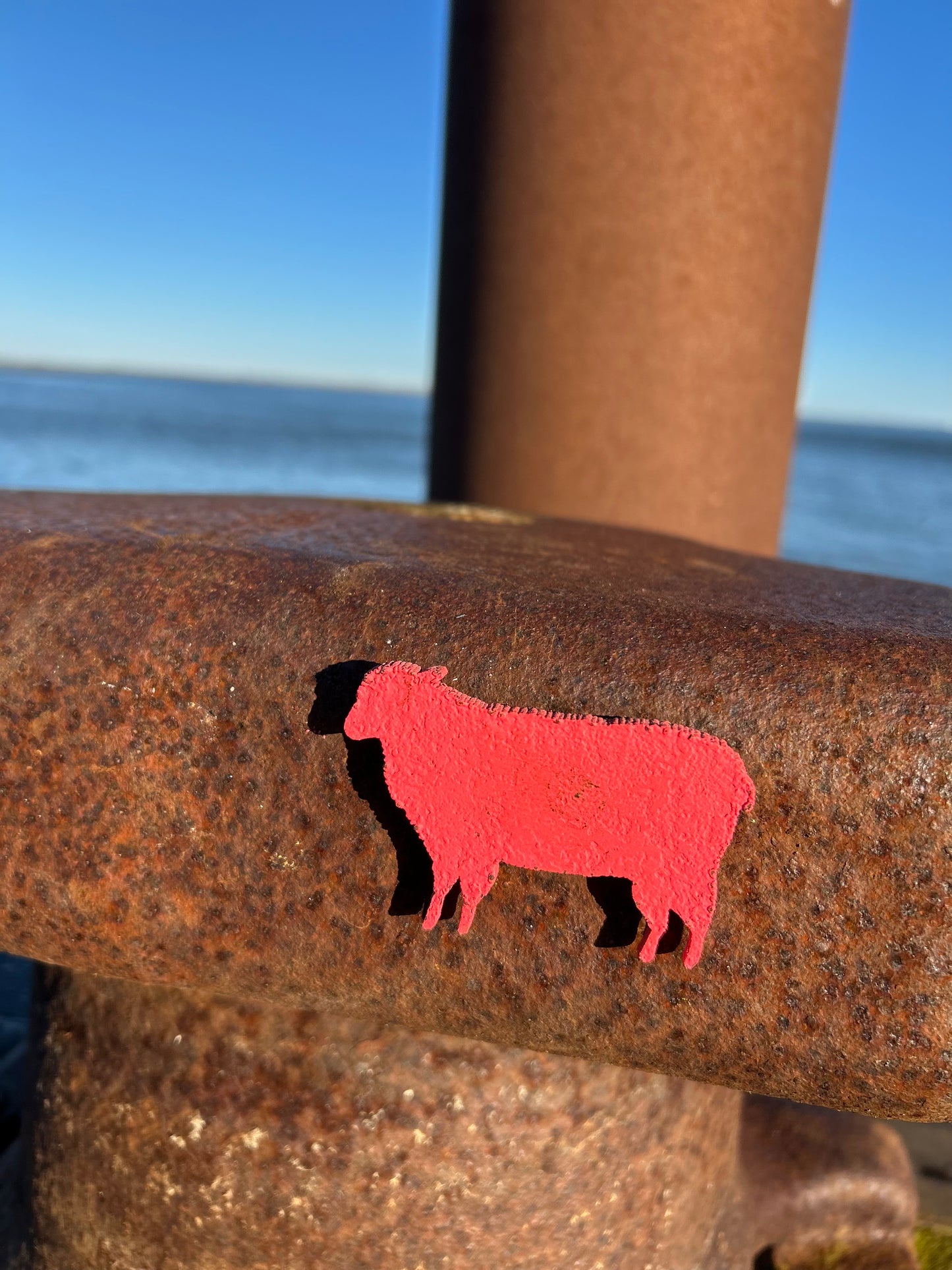 Magnet - Schaf "Wolle"