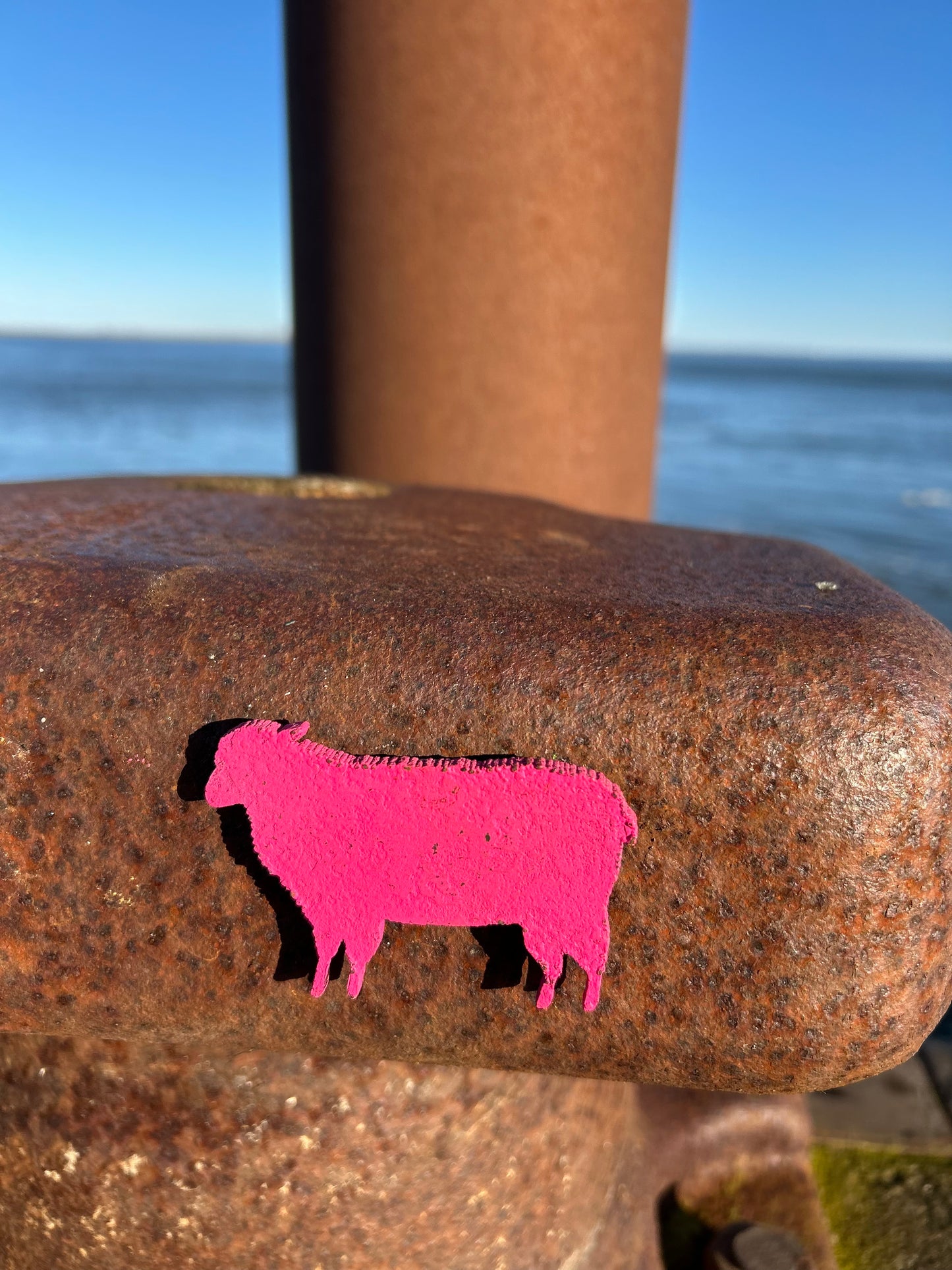 Magnet - Schaf "Wolle"