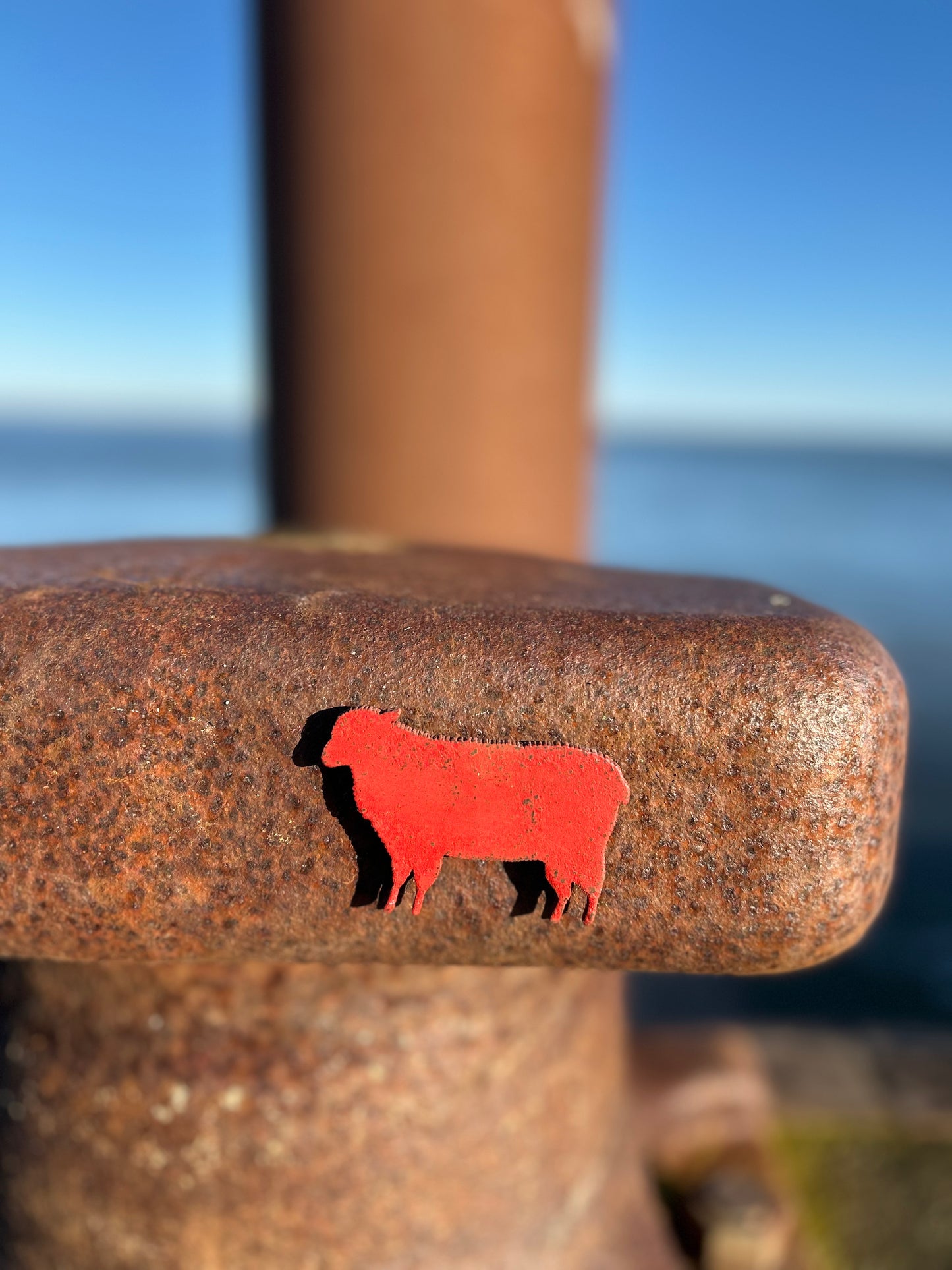 Magnet - Schaf "Wolle"