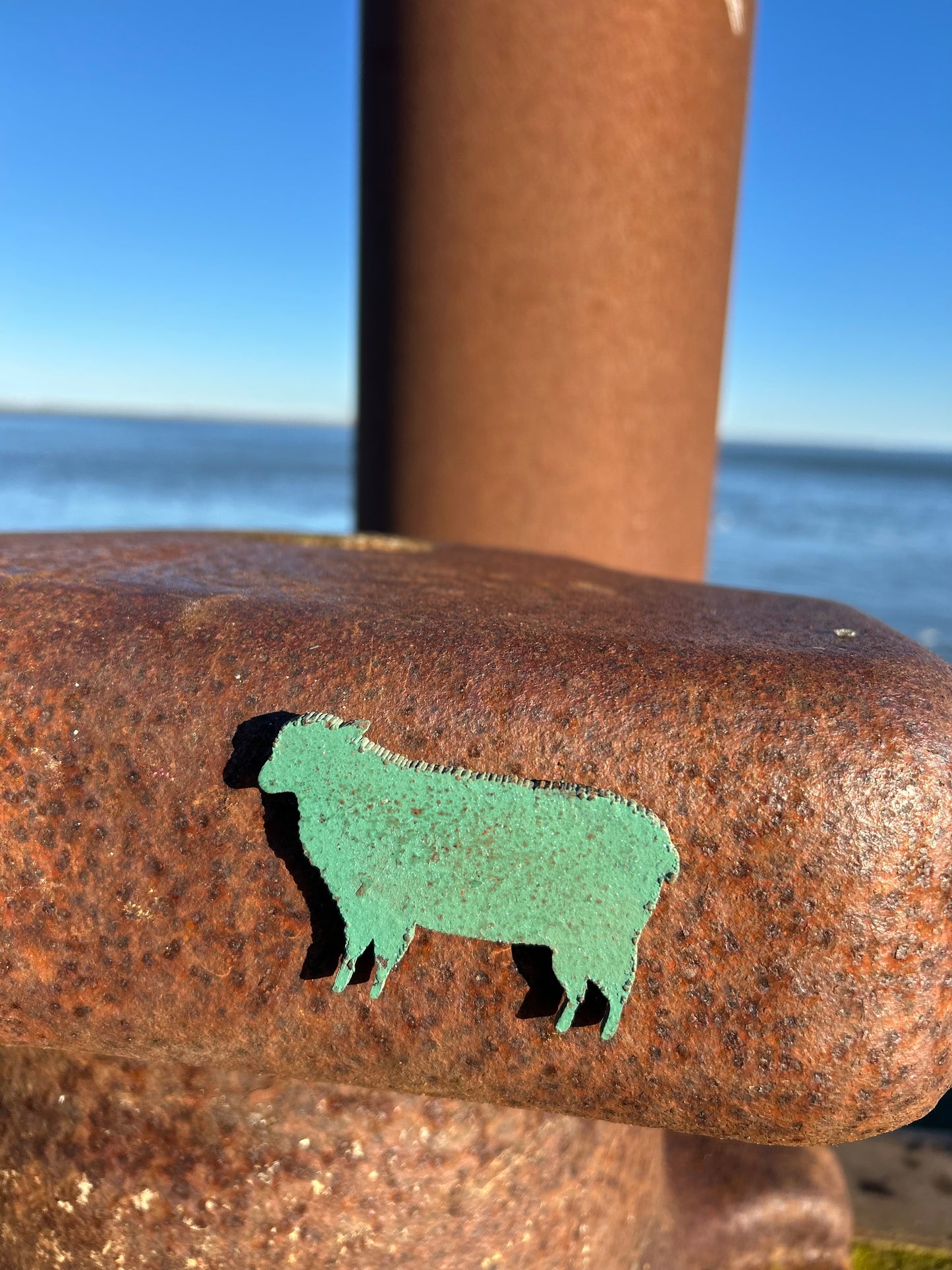 Magnet - Schaf "Wolle"