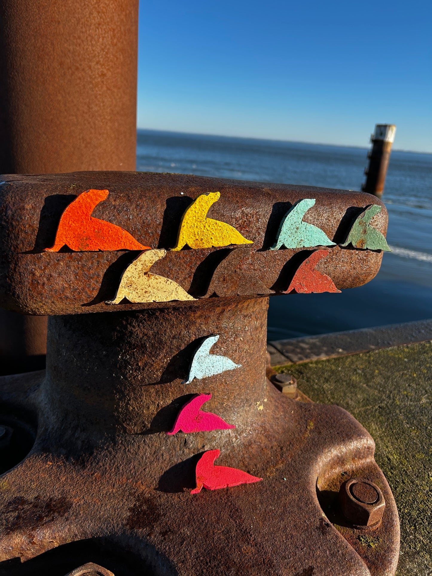 Magnet Robbe