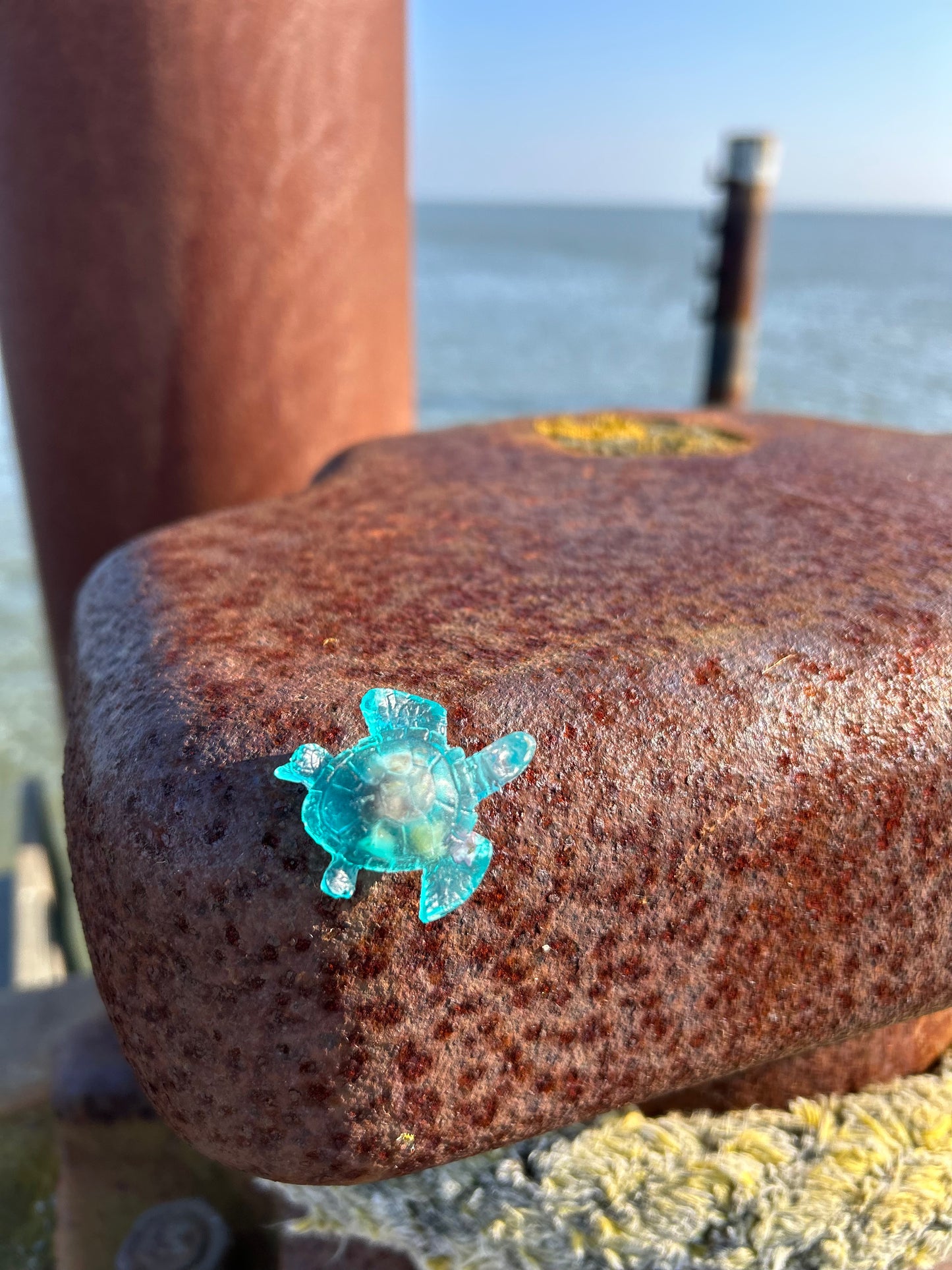 Magnet Schildkröte 🐢 handgegossen & mit Botschaft