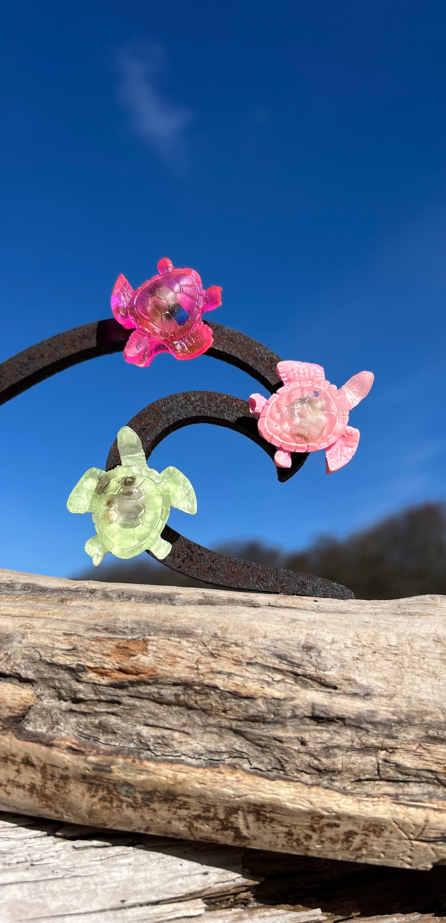 Magnet Schildkröte 🐢 handgegossen & mit Botschaft