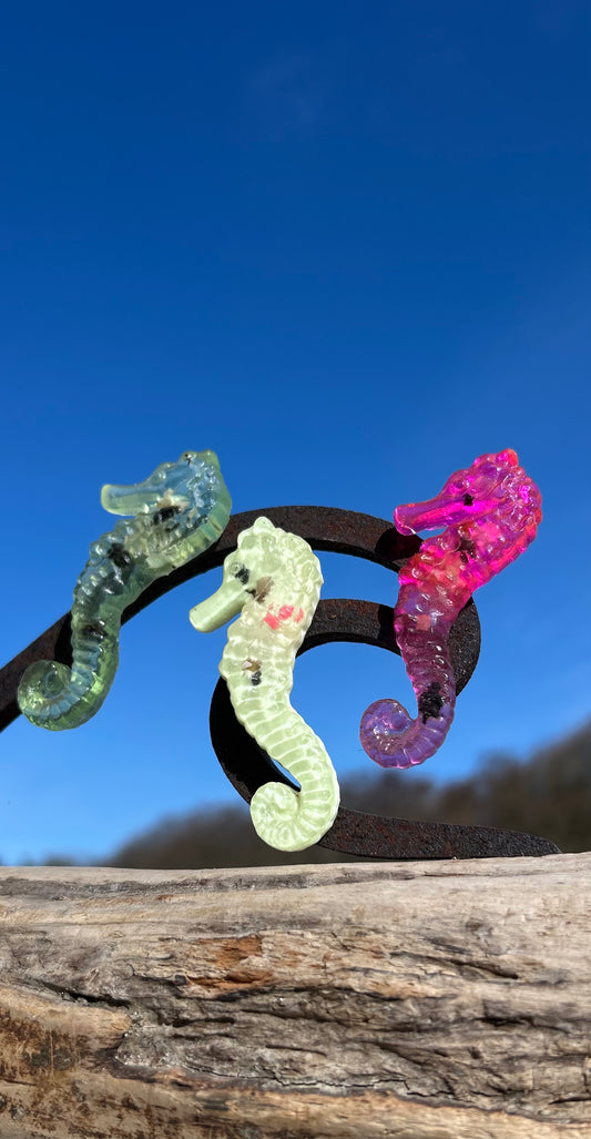 Magnet Seepferdchen 🪸Handgegossen & mit Botschaft