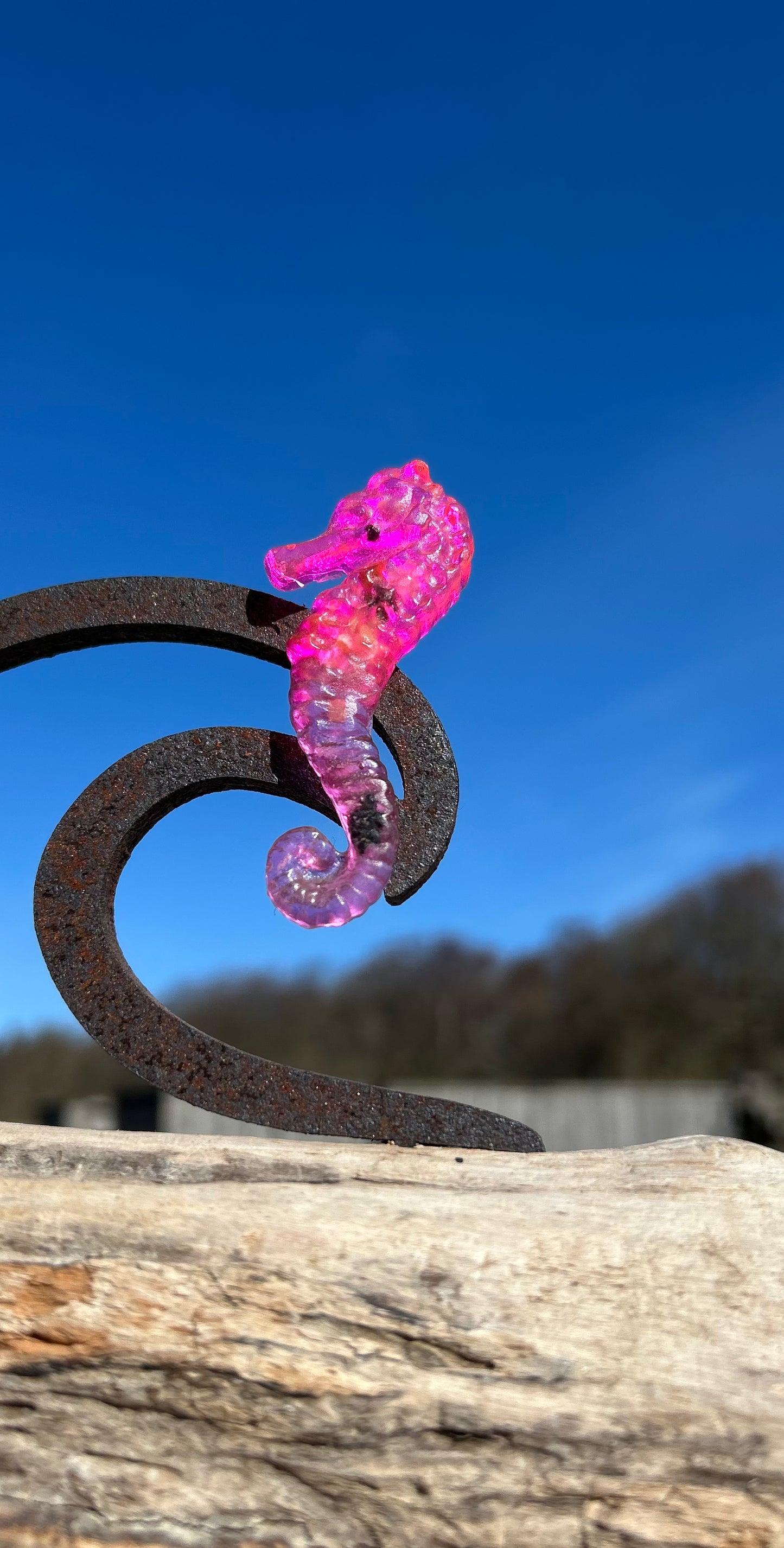 Magnet Seepferdchen 🪸Handgegossen & mit Botschaft