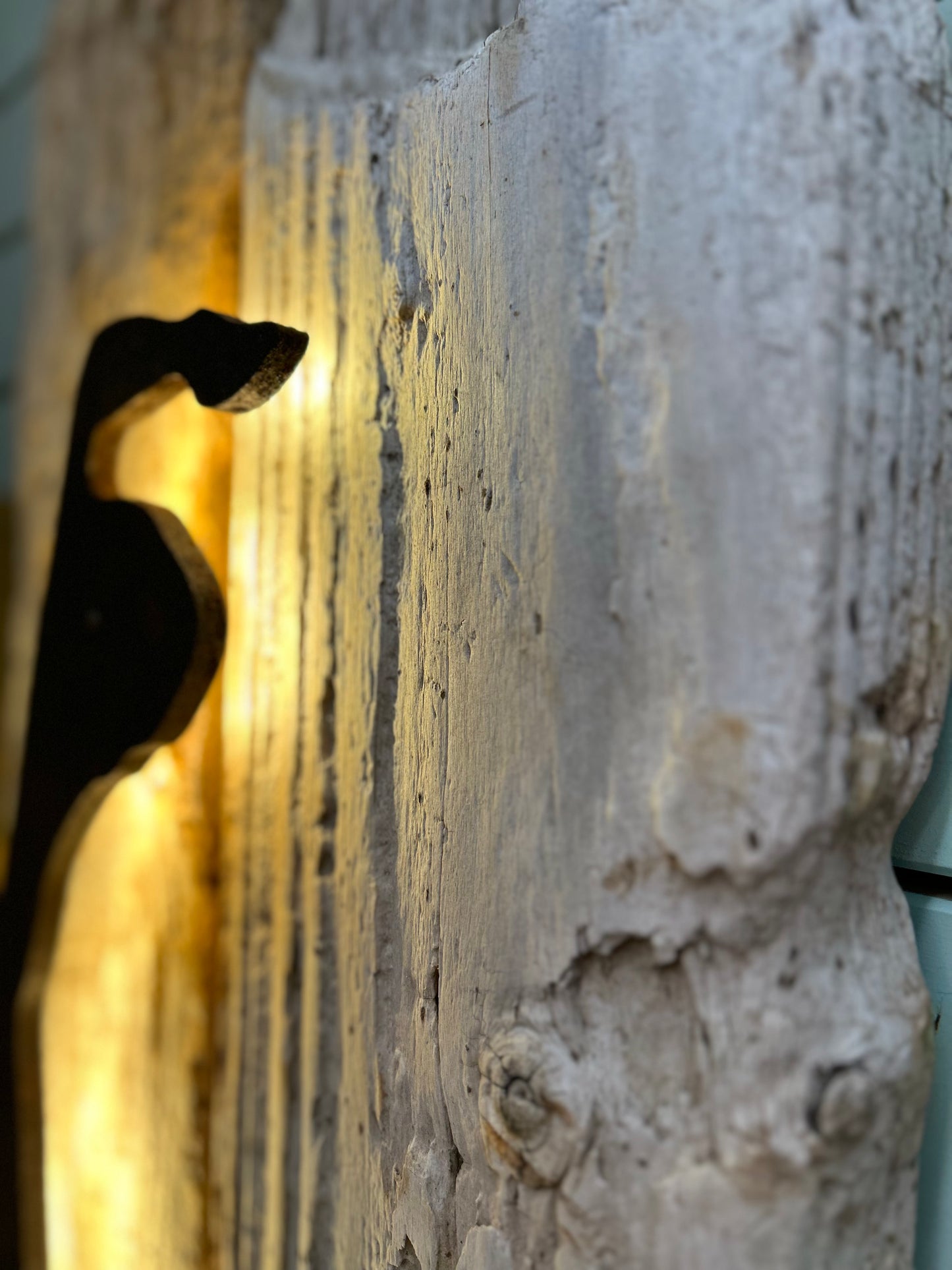 Driftwood-Sylt Lampe " NUR ABHOLUNG! "