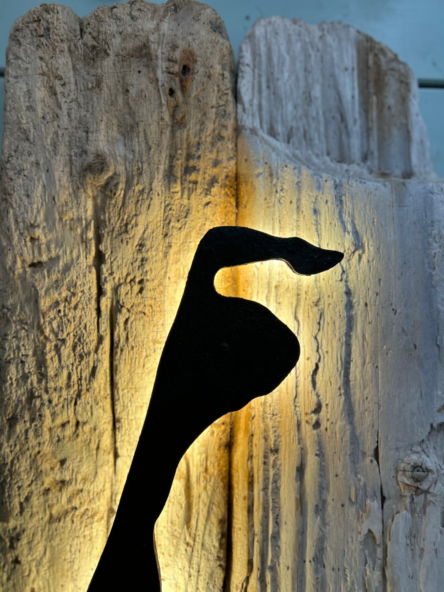 Driftwood-Sylt Lampe " NUR ABHOLUNG! "