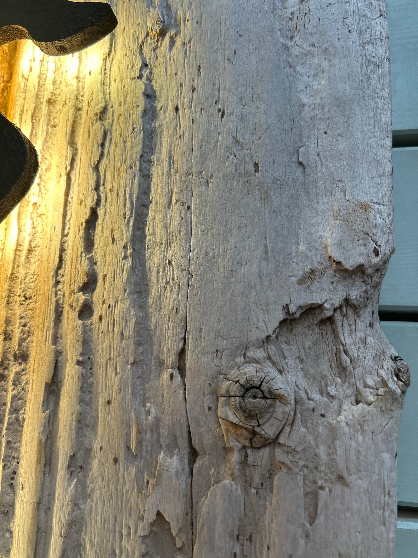 Driftwood-Sylt Lampe " NUR ABHOLUNG! "
