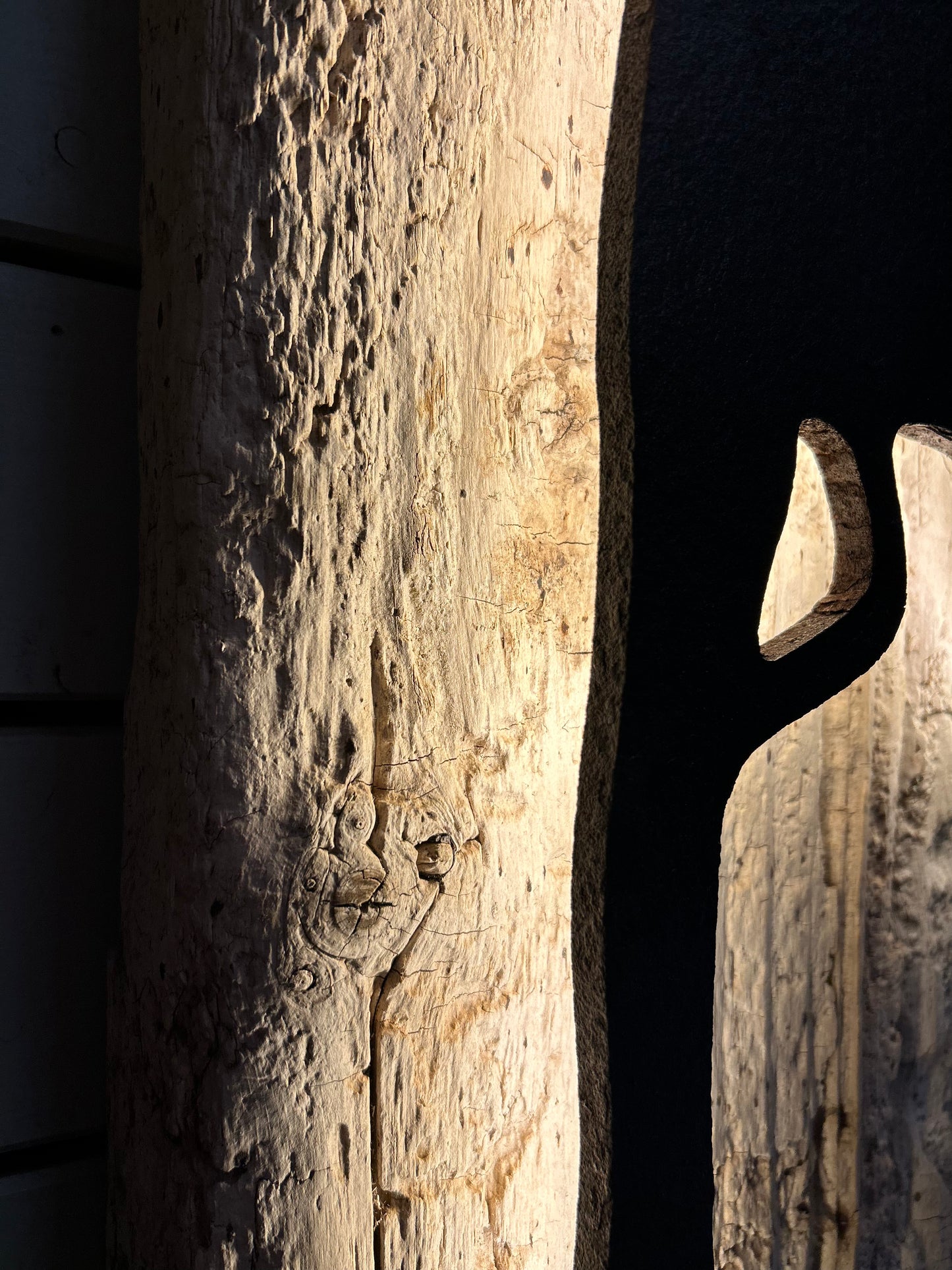 Driftwood-Sylt Lampe " NUR ABHOLUNG! "