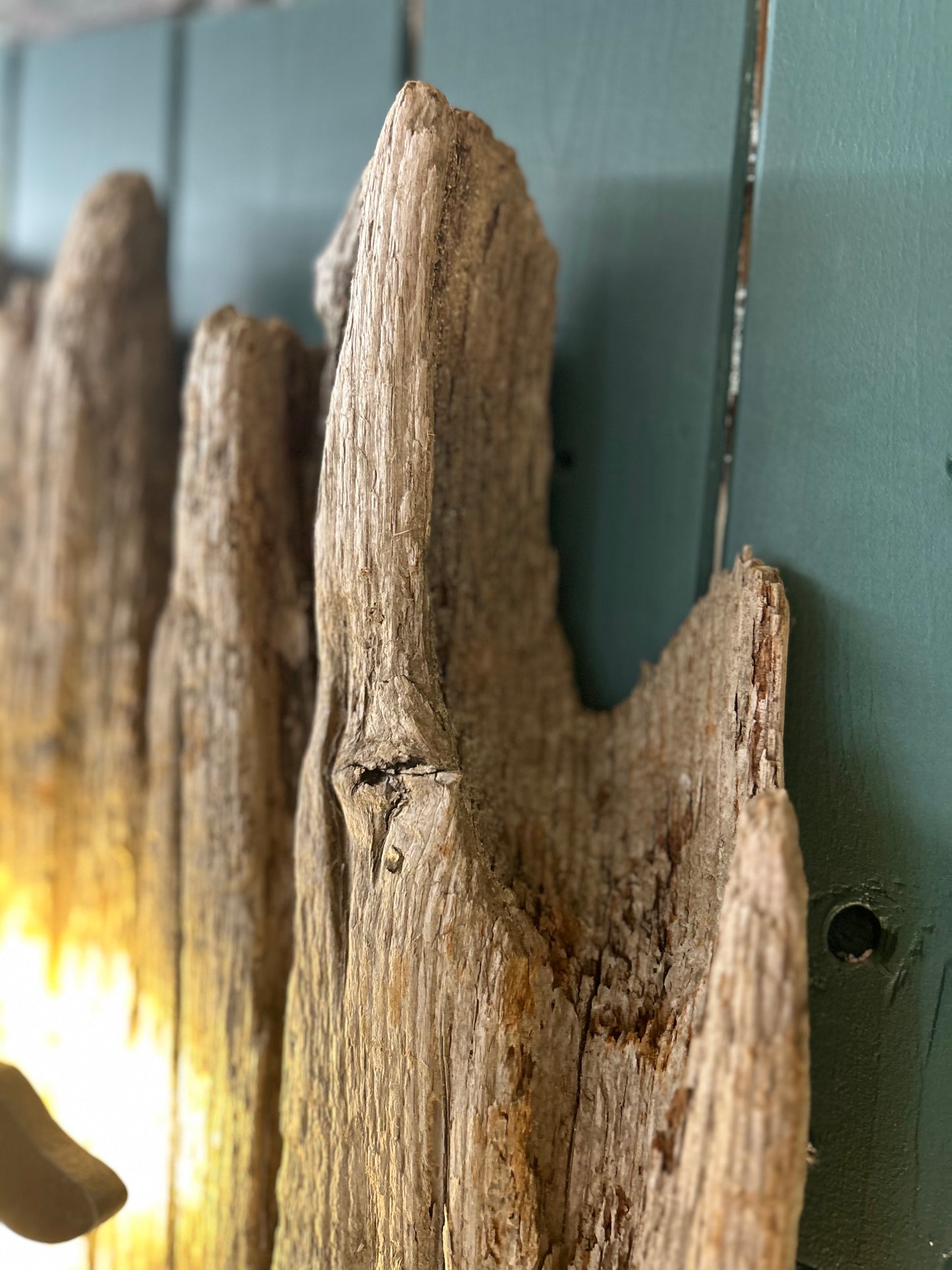 Driftwood-Sylt Lampe • NUR ABHOLUNG !