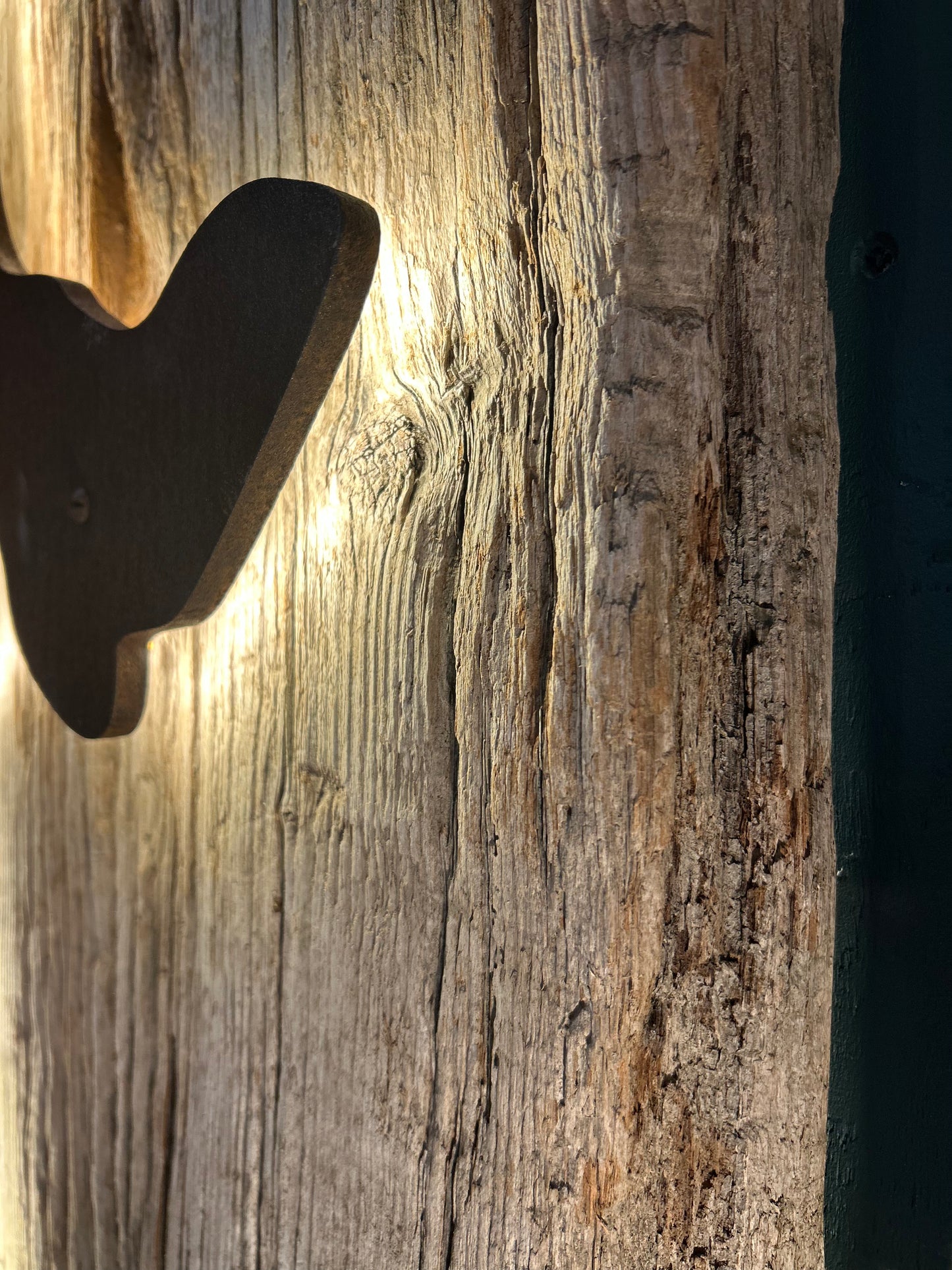 Driftwood-Sylt Lampe • NUR ABHOLUNG !