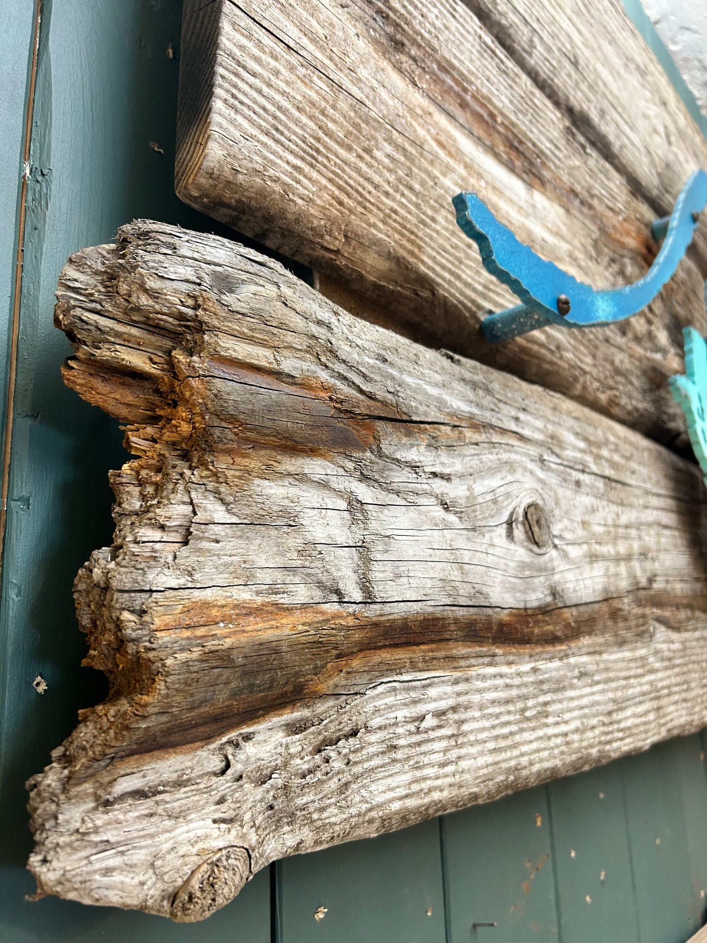 Driftwood-Welle Lampe
